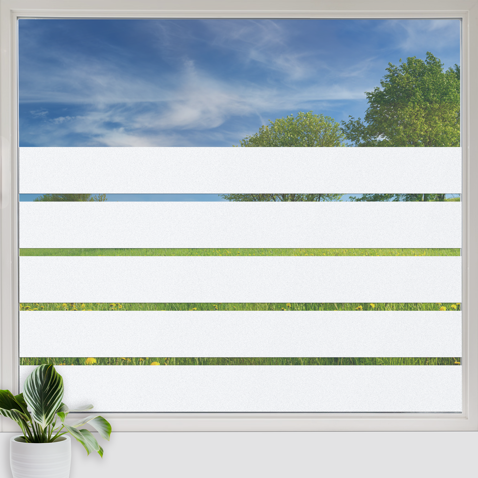 Fenssterfolie Streifen