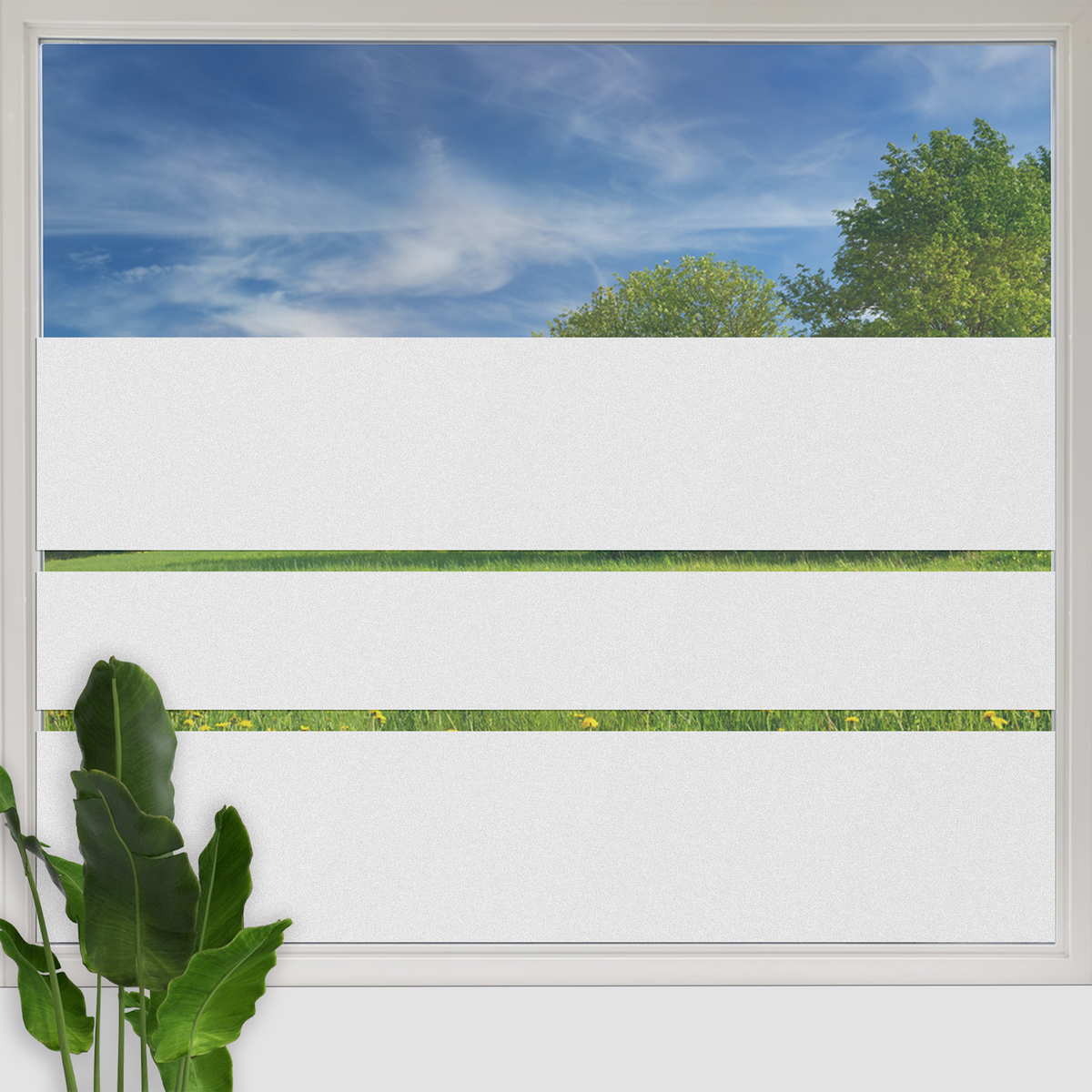 Fensterfolie Streifen – Sichtschutz & Design für Glasflächen
