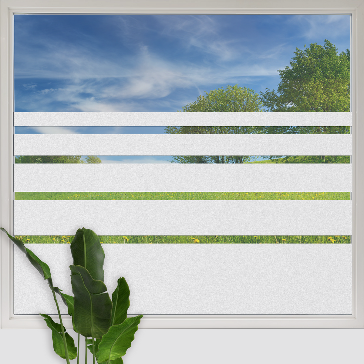 Fensterfolie Streifen – Moderner Sichtschutz für Glas