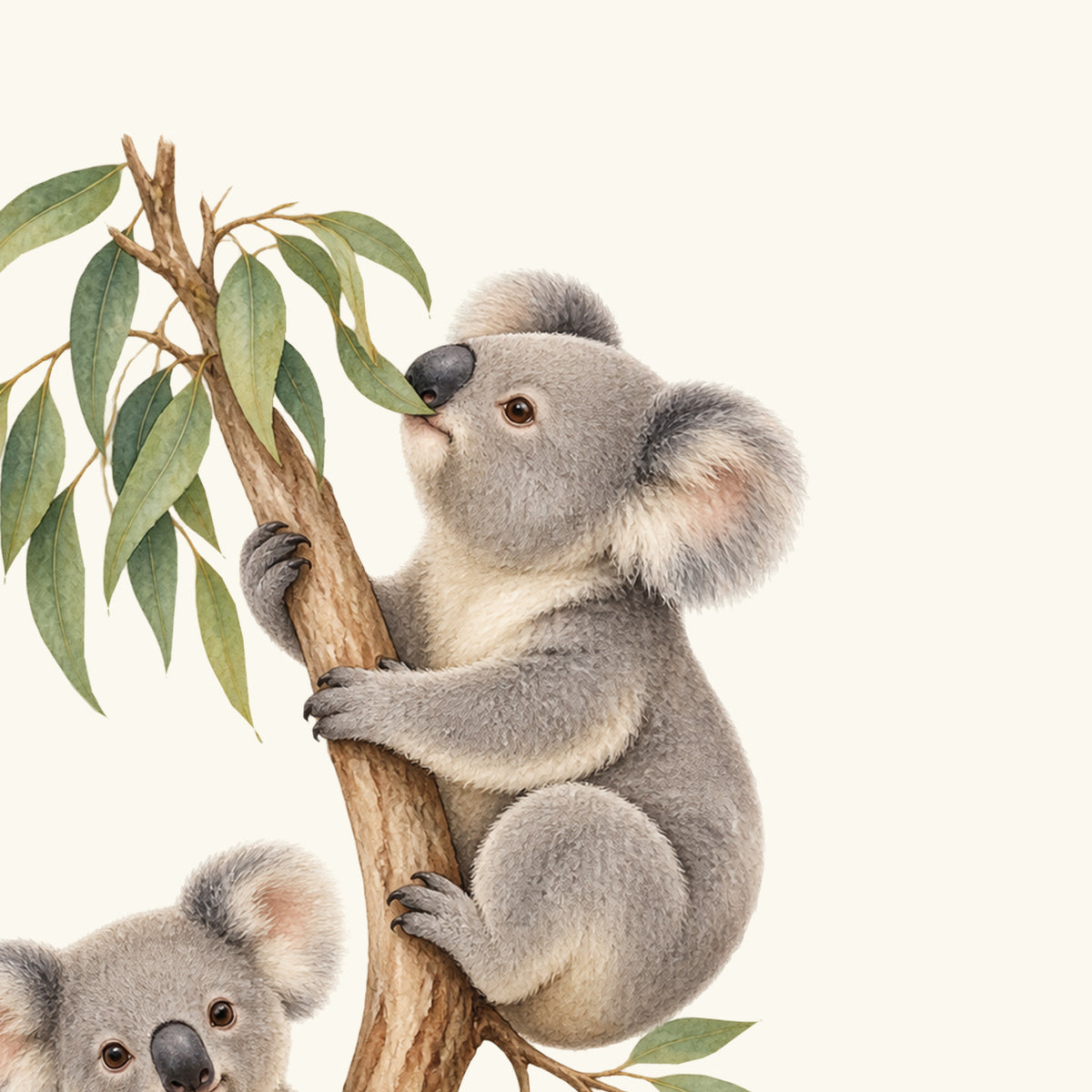 Motivdetail des Wandtattoos Blätterglück: Großer Koala im Profil mit Blick zu den Eukalyptusblättern am oberen Ast.