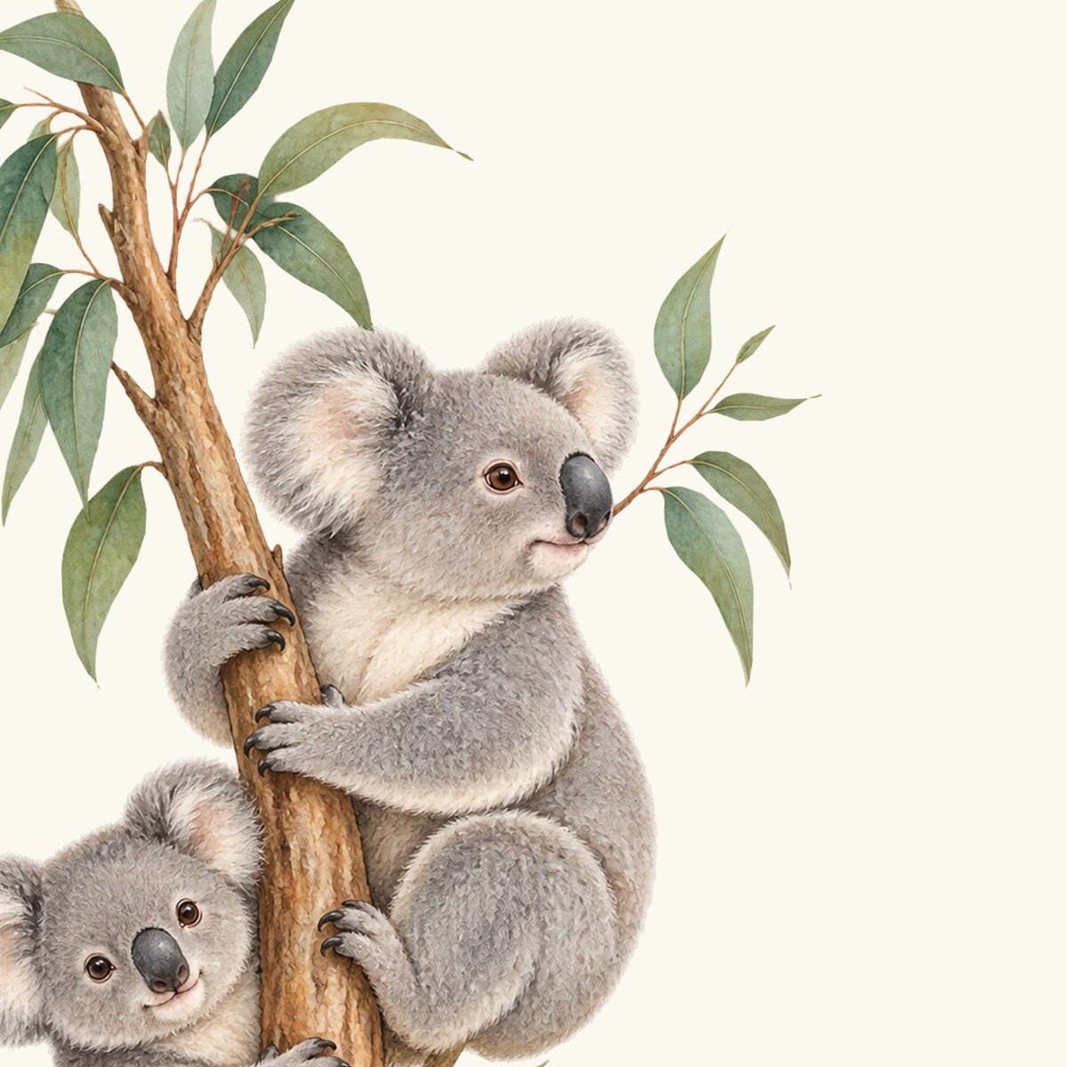 Motivdetail des Wandtattoos Kleine Entdecker: Großer Koala im Profil, brauner Eukalyptusast und grüne Blätter in Nahansicht.