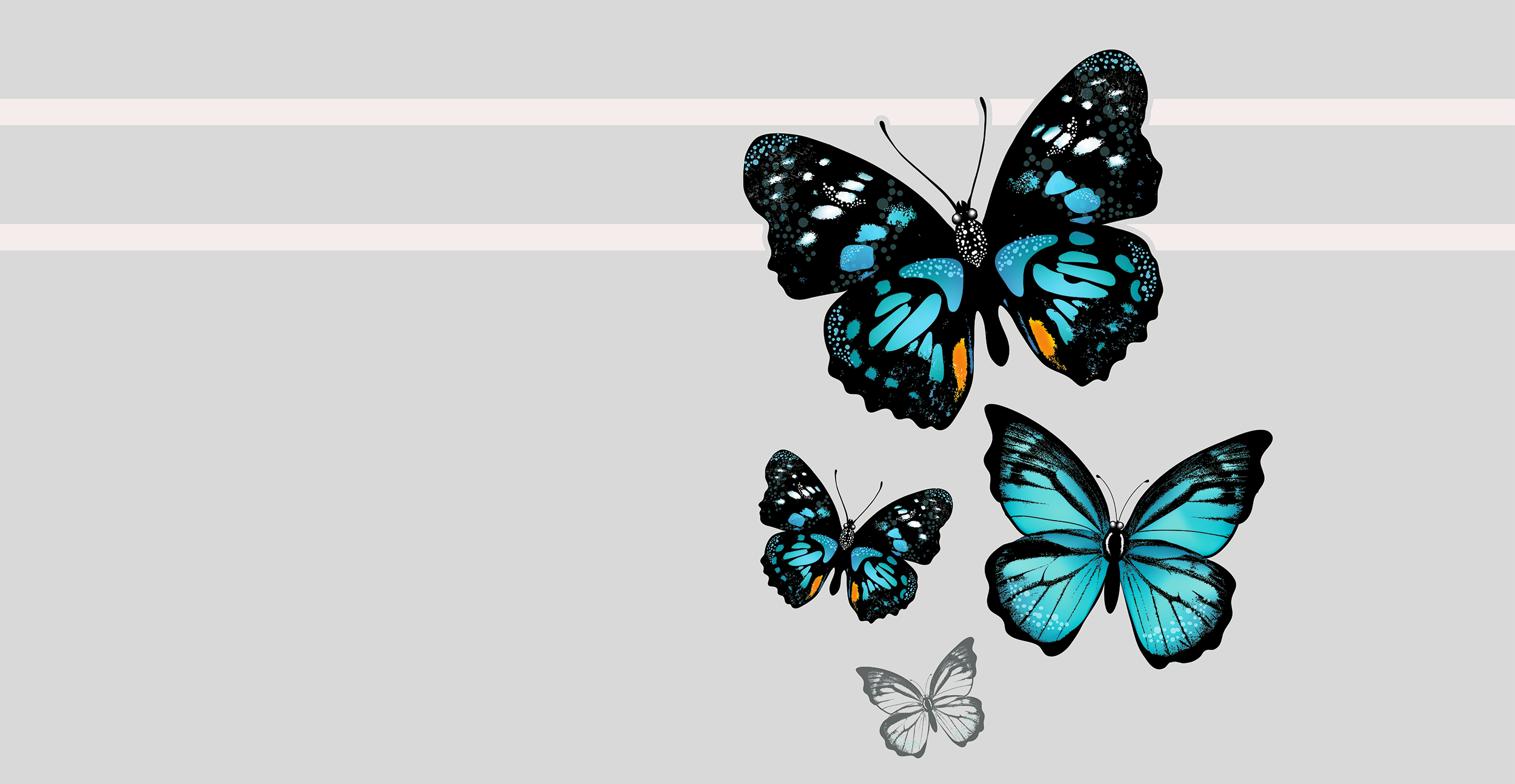 Fensterfolie Schmetterlinge