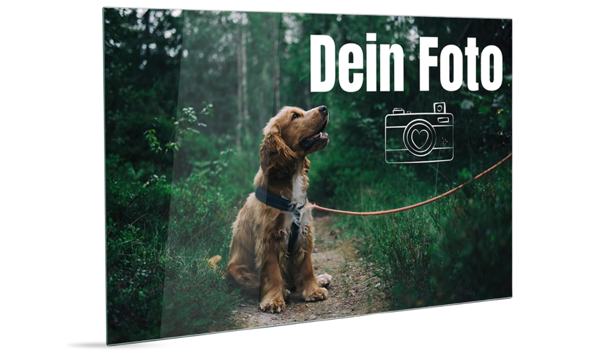 Küchenrückwand mit eigenem Motiv aus Premium ESG-Glas – Dein individueller Spritzschutz