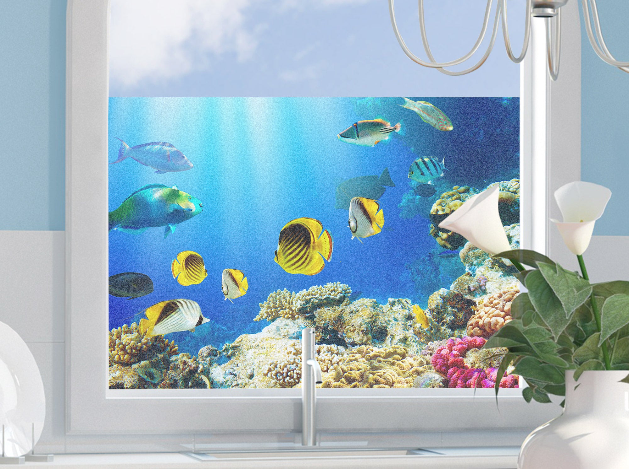 Fensterfolie Unterwasserwelt