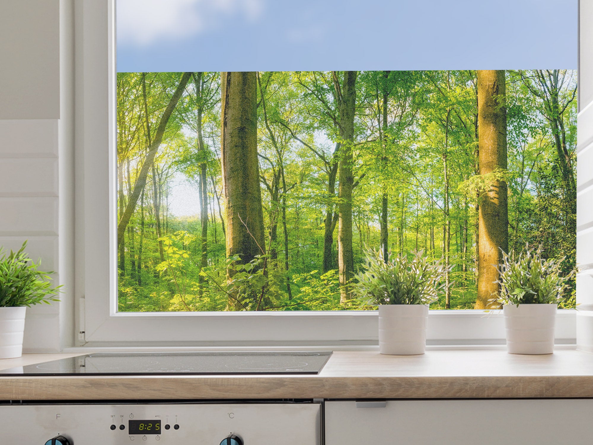 Fensterfolie Waldlandschaft