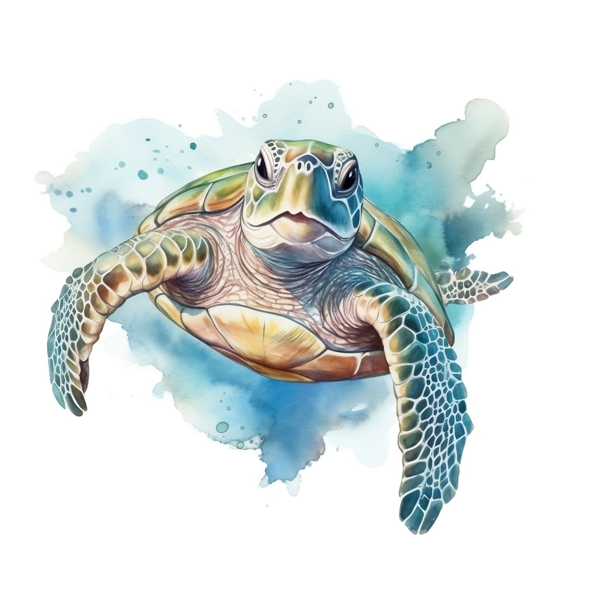 Wandtattoo Schildkröte