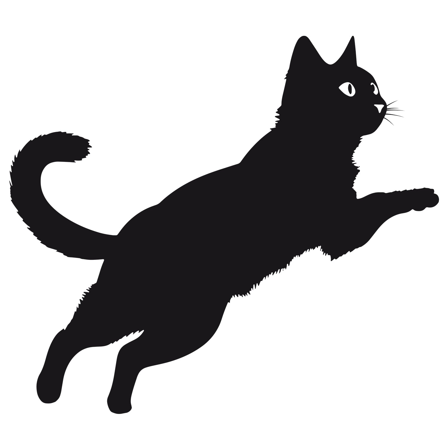 Wandtattoo Katze - Für tierische Lebensfreude