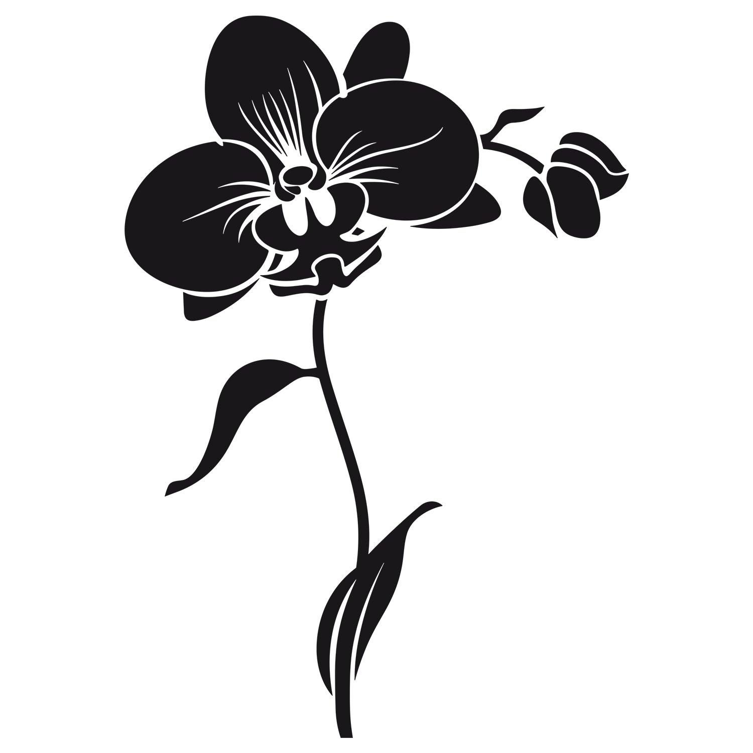 Wandtattoo Orchidee - Blühende Eleganz für dein Zuhause