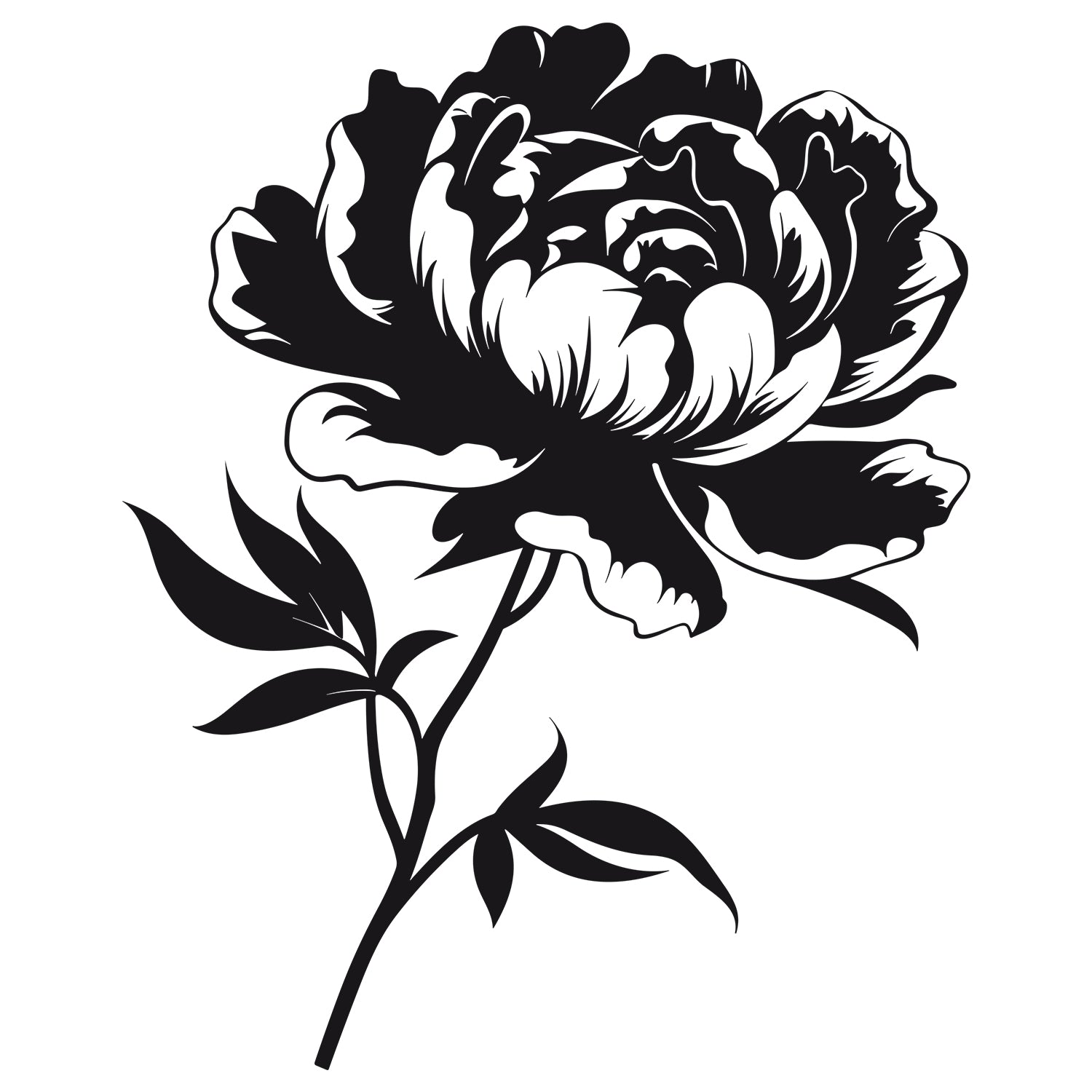 Wandtattoo Pfingstrose