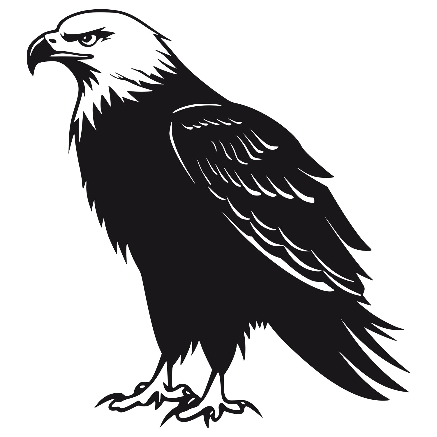 Wandtattoo Adler