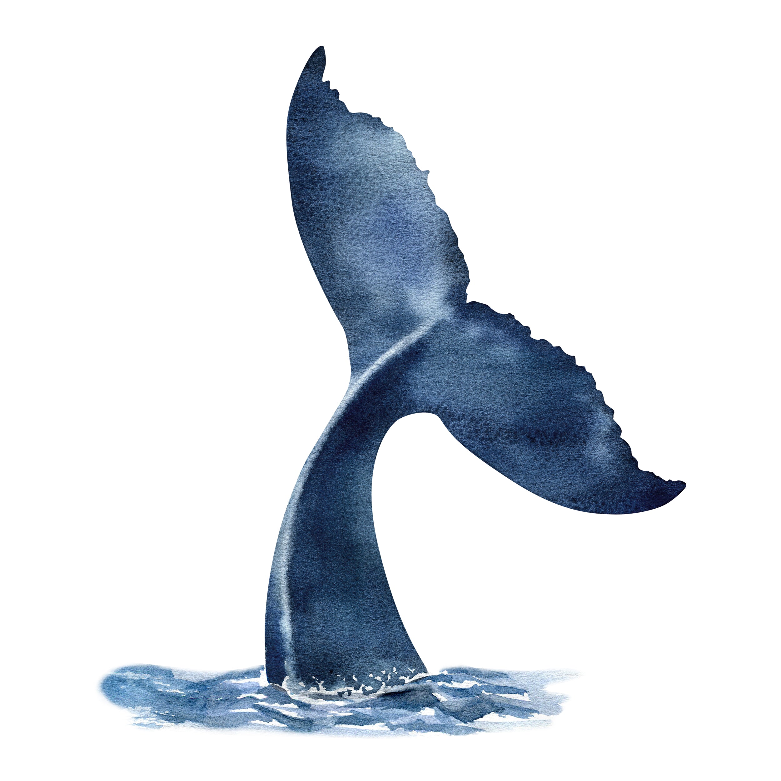 Wandtattoo Walfluke - Ein Hauch von Meer