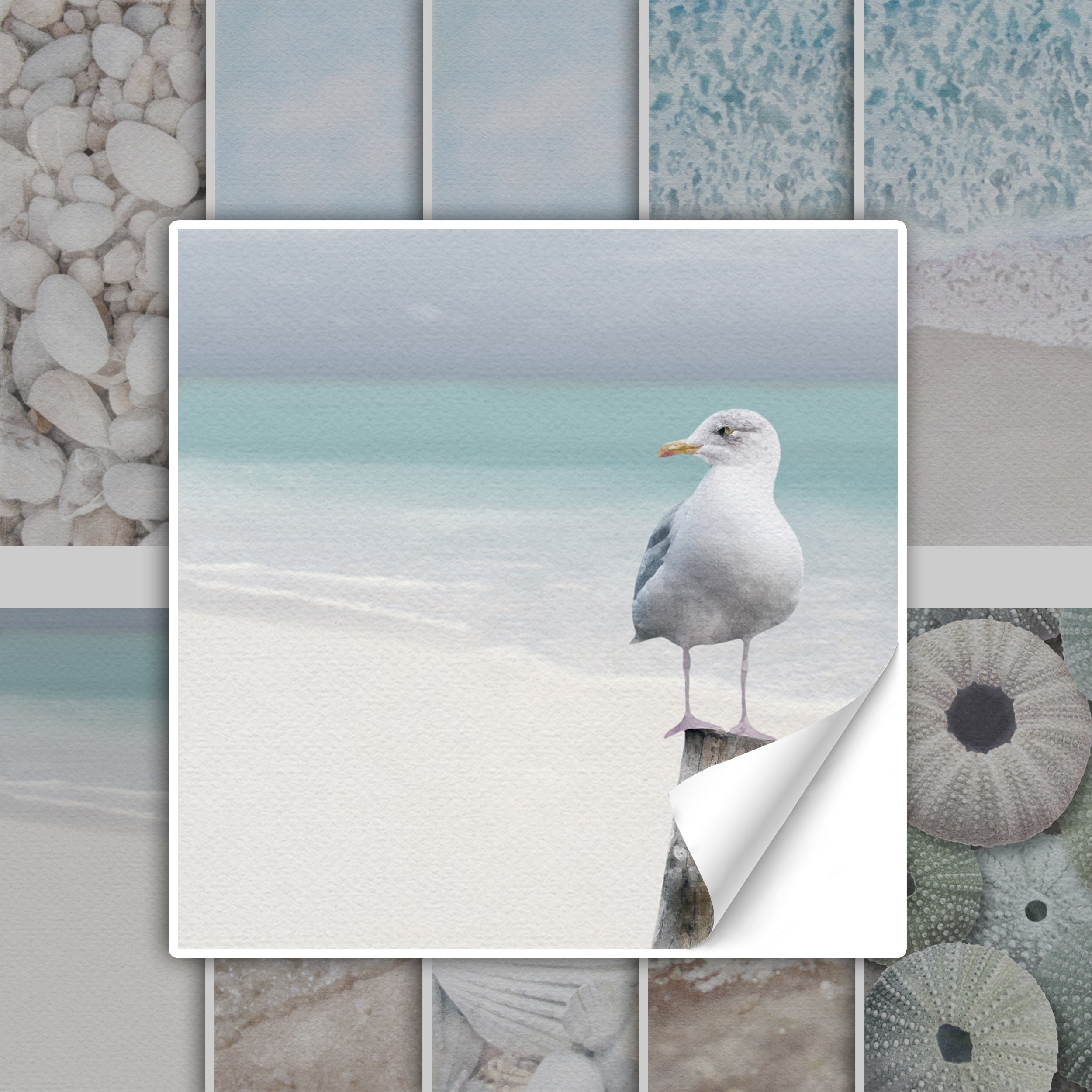 Möwe auf einem Pfahl vor türkisfarbenem Wasser.