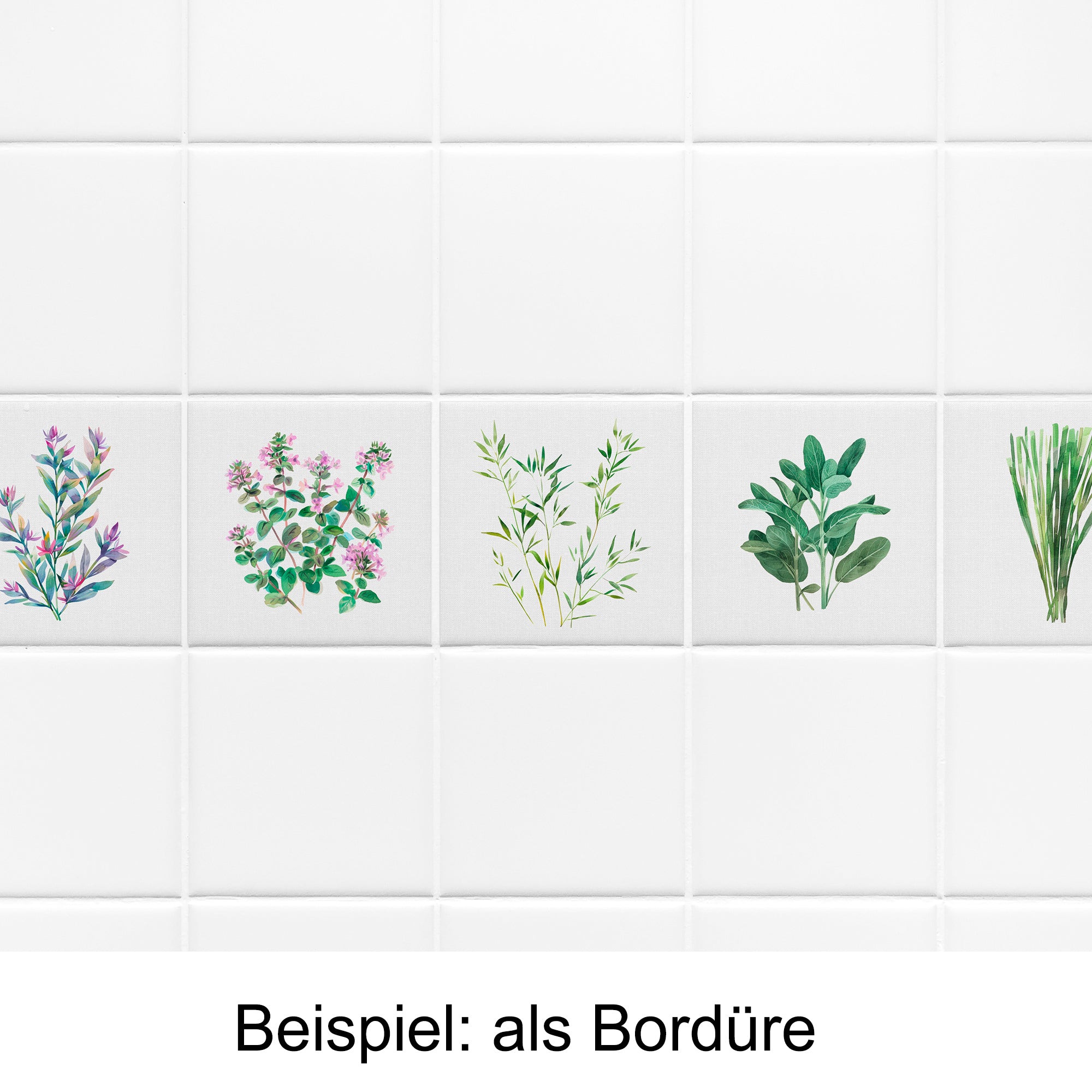 Fliesenbordüre mit bunten Kräuterillustrationen auf weißem Hintergrund.