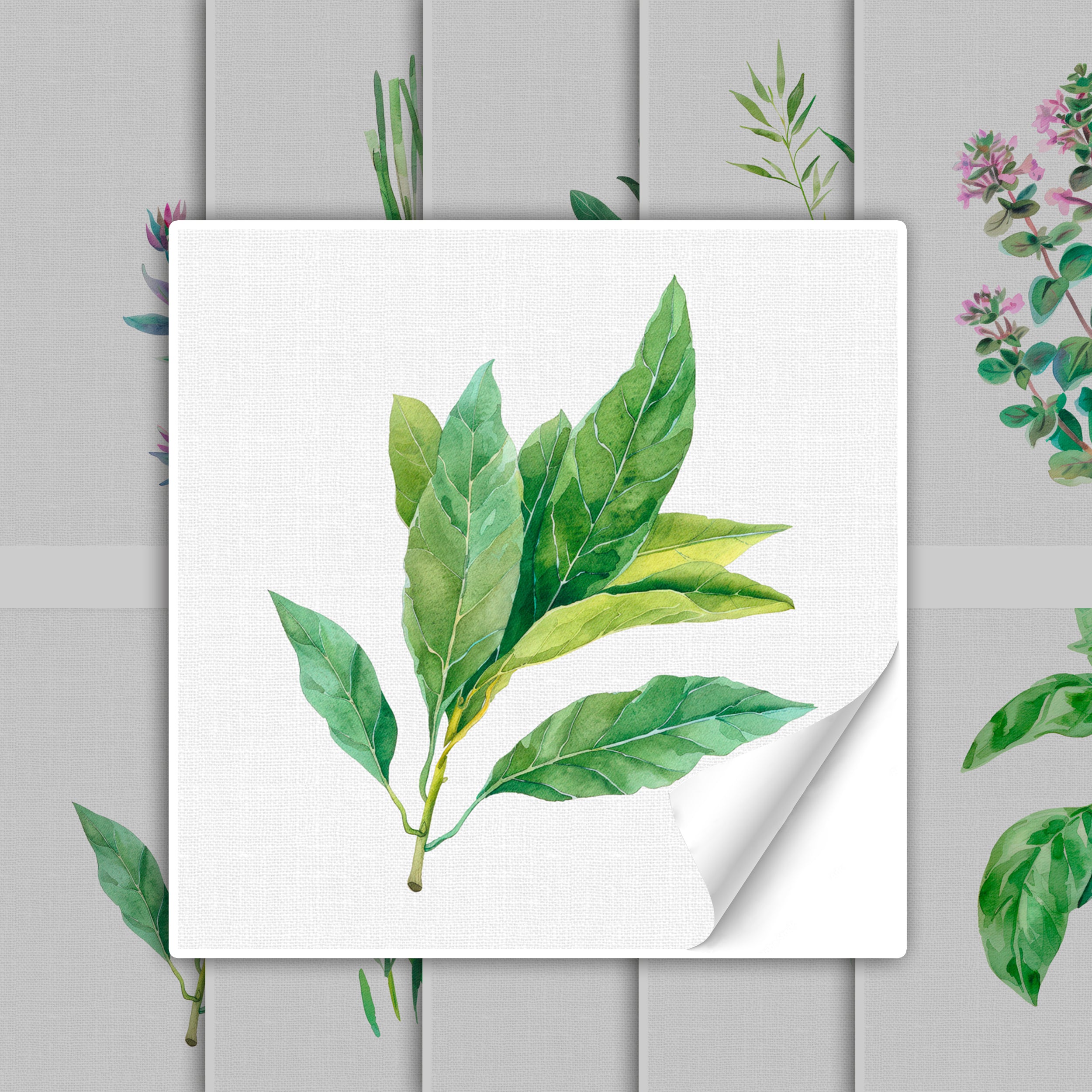 Grüne Lorbeerblätter auf hellem Hintergrund.