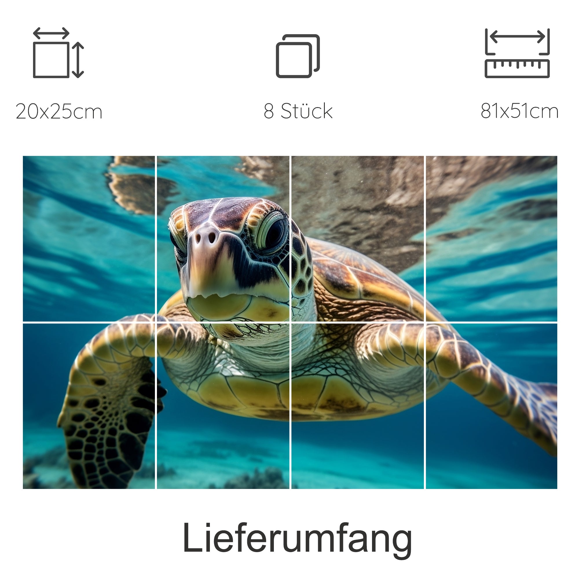 Schildkröte im Wasser, lebendige Farben, 8-teiliges Set.