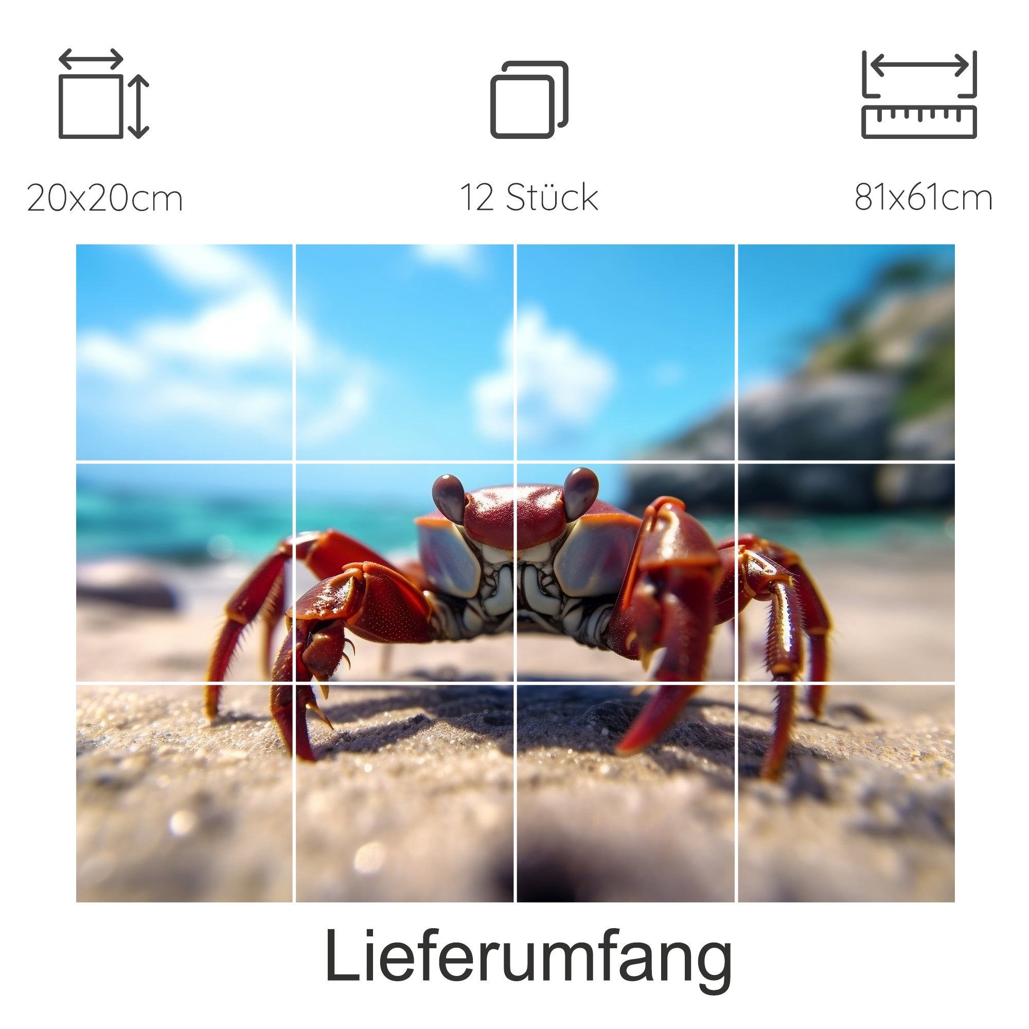 Roter Krebs am Strand, verschwommener Hintergrund, sonniger Tag.