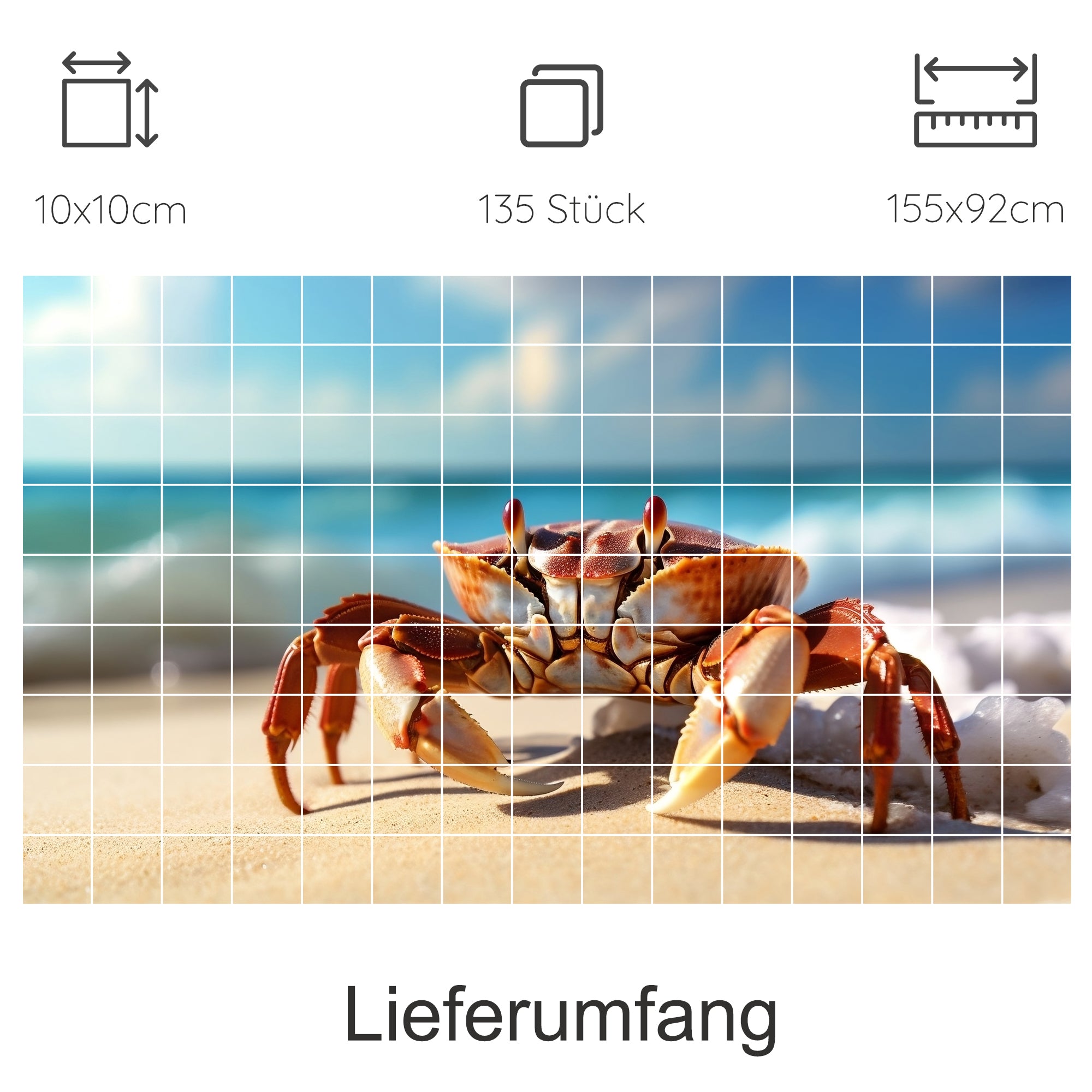 Krabbe am Strand, rot-orange, mit Wasser im Hintergrund.