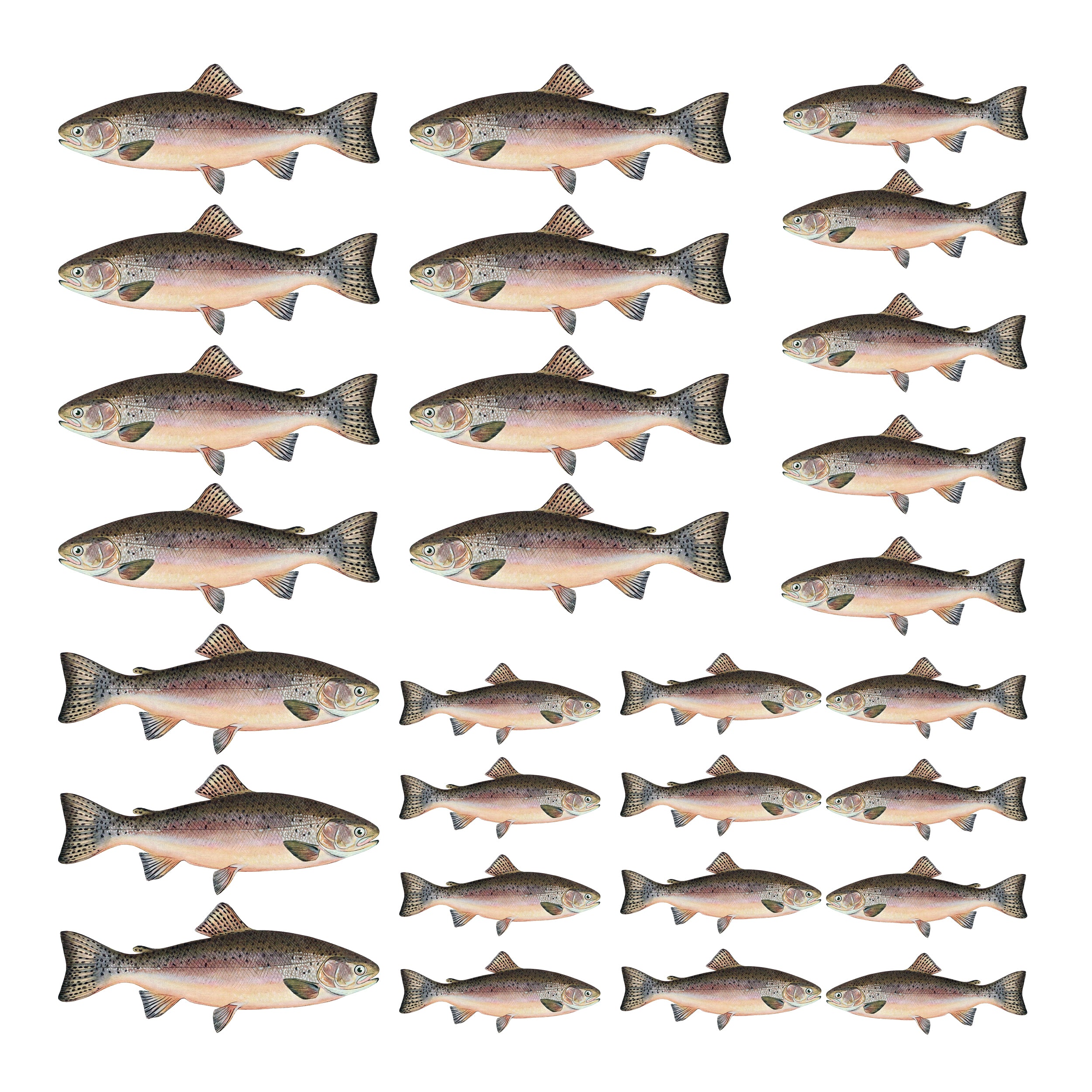 Wandtattoo Regenbogenforellen Set