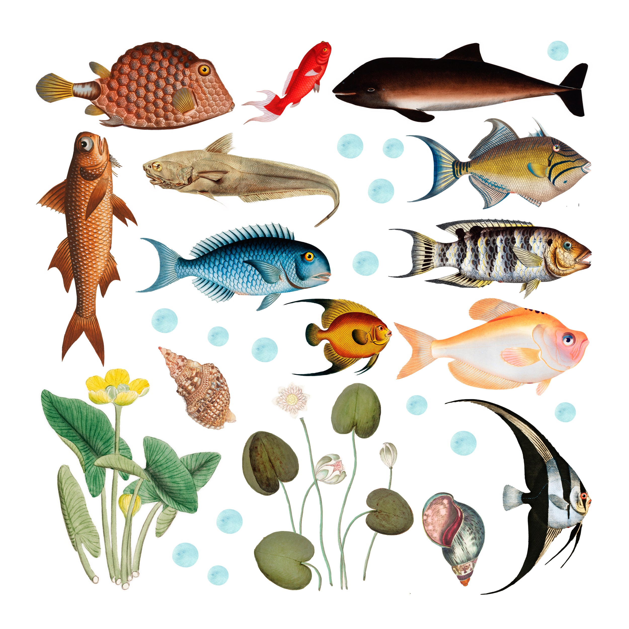 Wandtattoo Fische und Wasserpflanzen