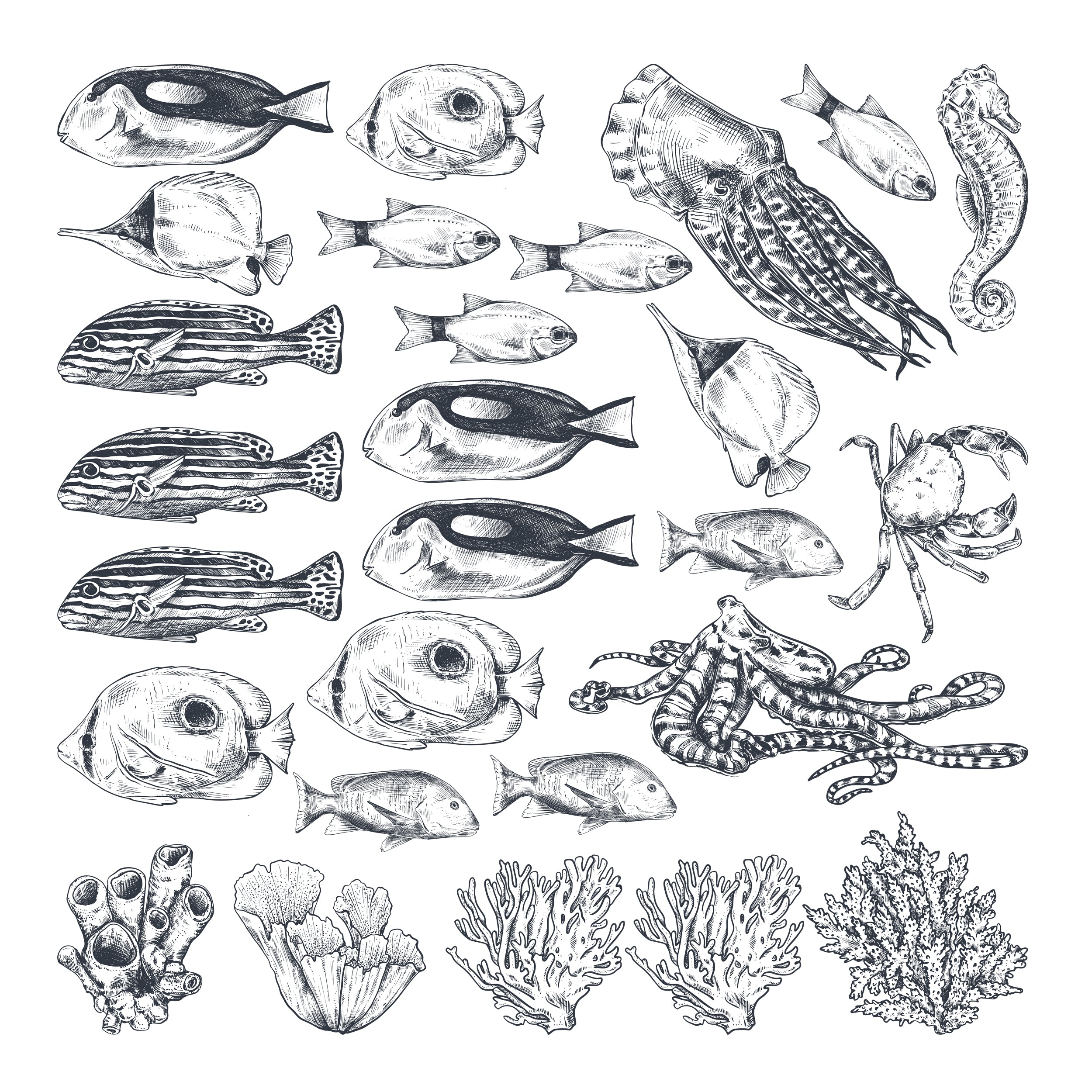 Wandtattoo Meeresbewohner