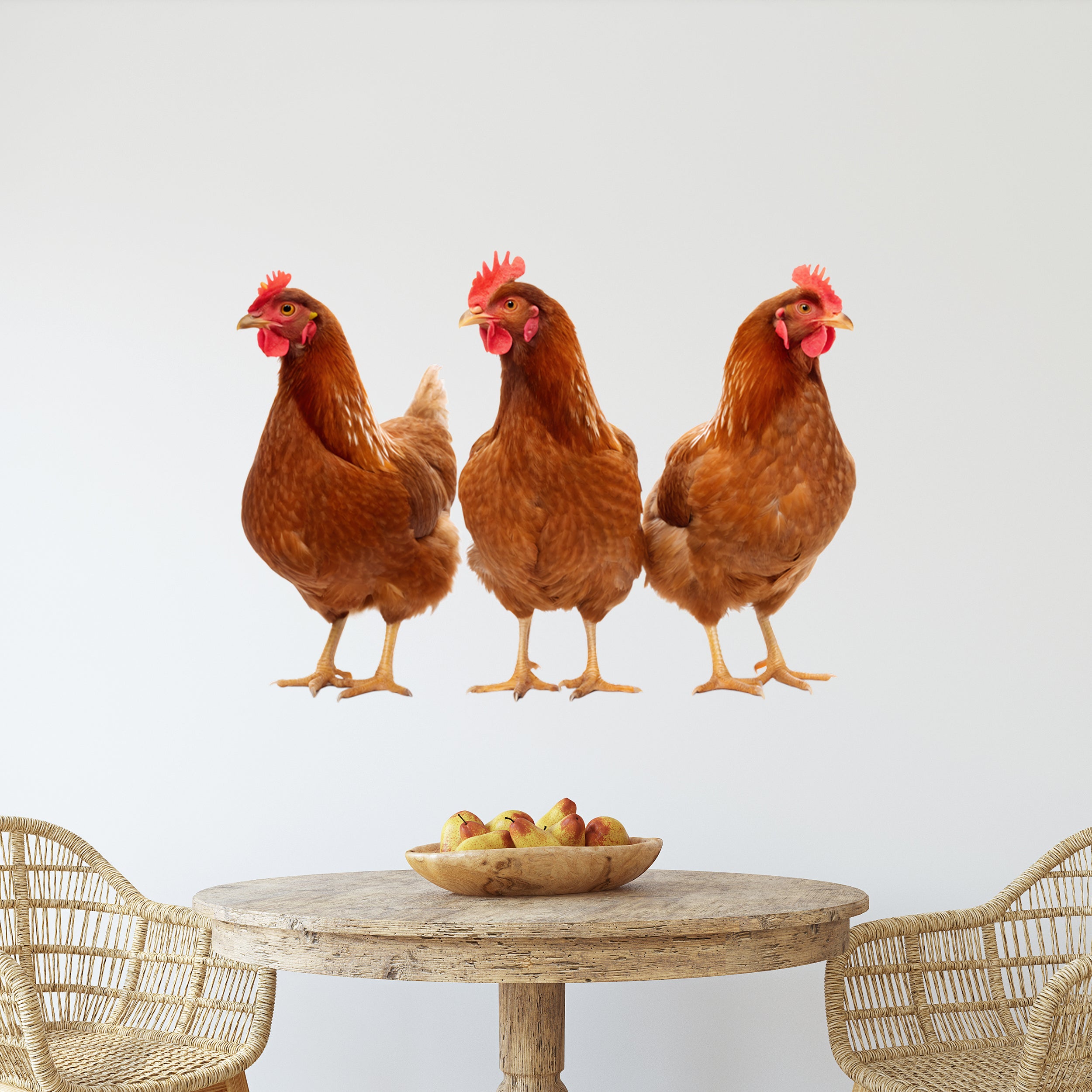 Wandtattoo Hühner