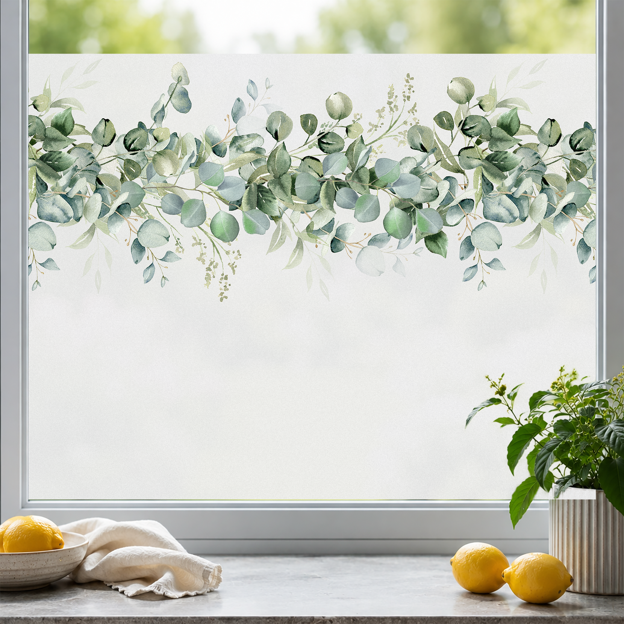 Fensterfolie Eukalyptus Bordüre