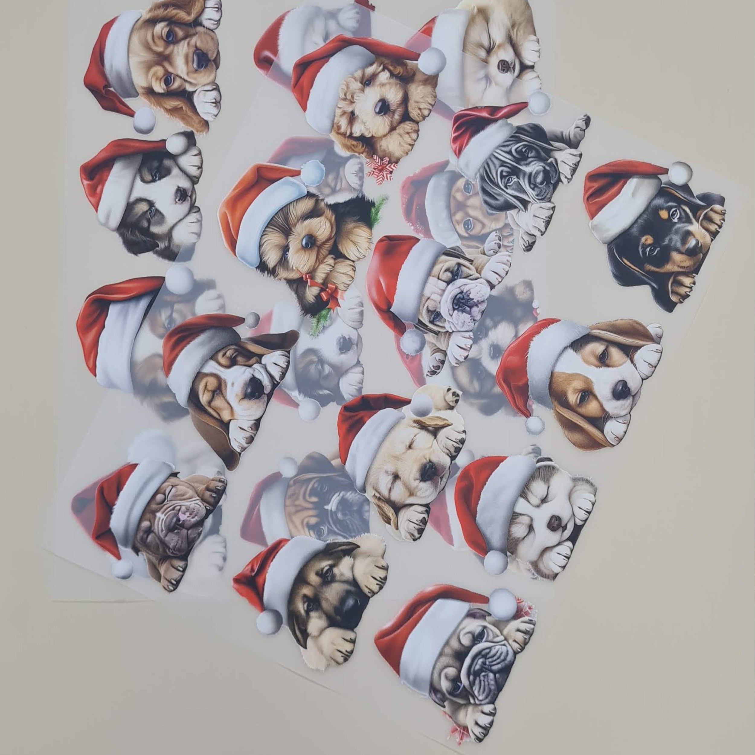 Nahaufnahme transparenter Bügelbildbögen mit Hundewelpen in Weihnachtsmützen