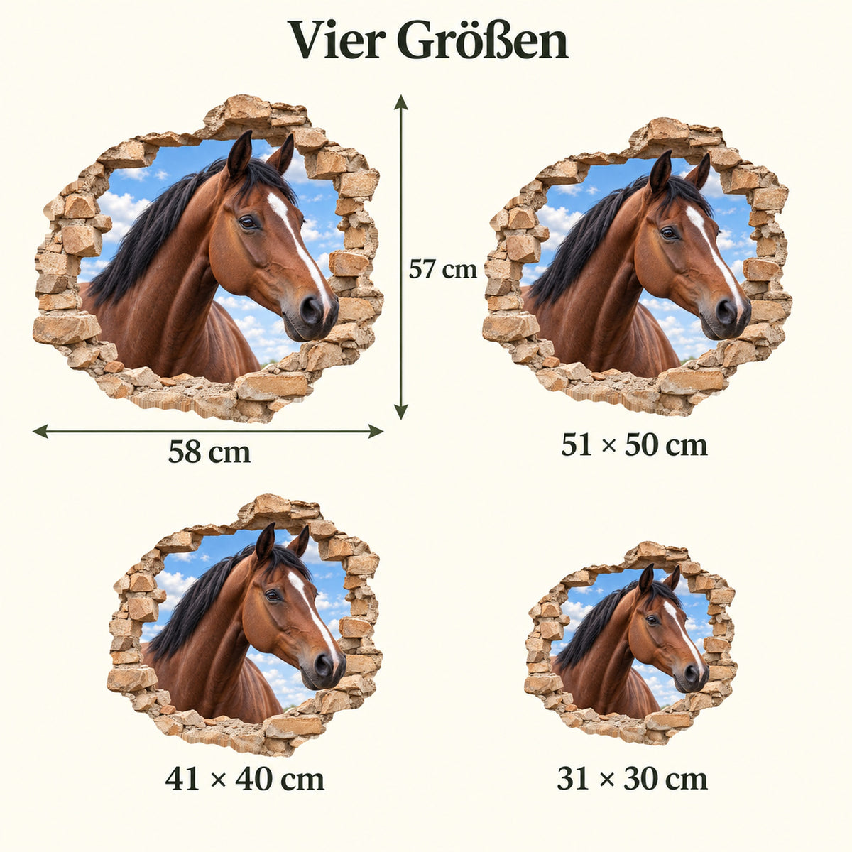 Größenvergleich des Wandtattoos Pferd Brauner: 30, 40, 50 und 57 cm kürzere Seite