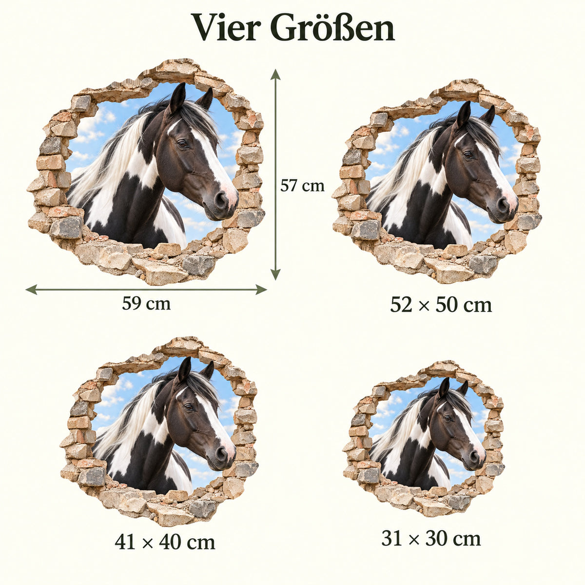 Größenvergleich des Wandtattoos Pferd Schecke: 30, 40, 50 und 57 cm kürzere Seite