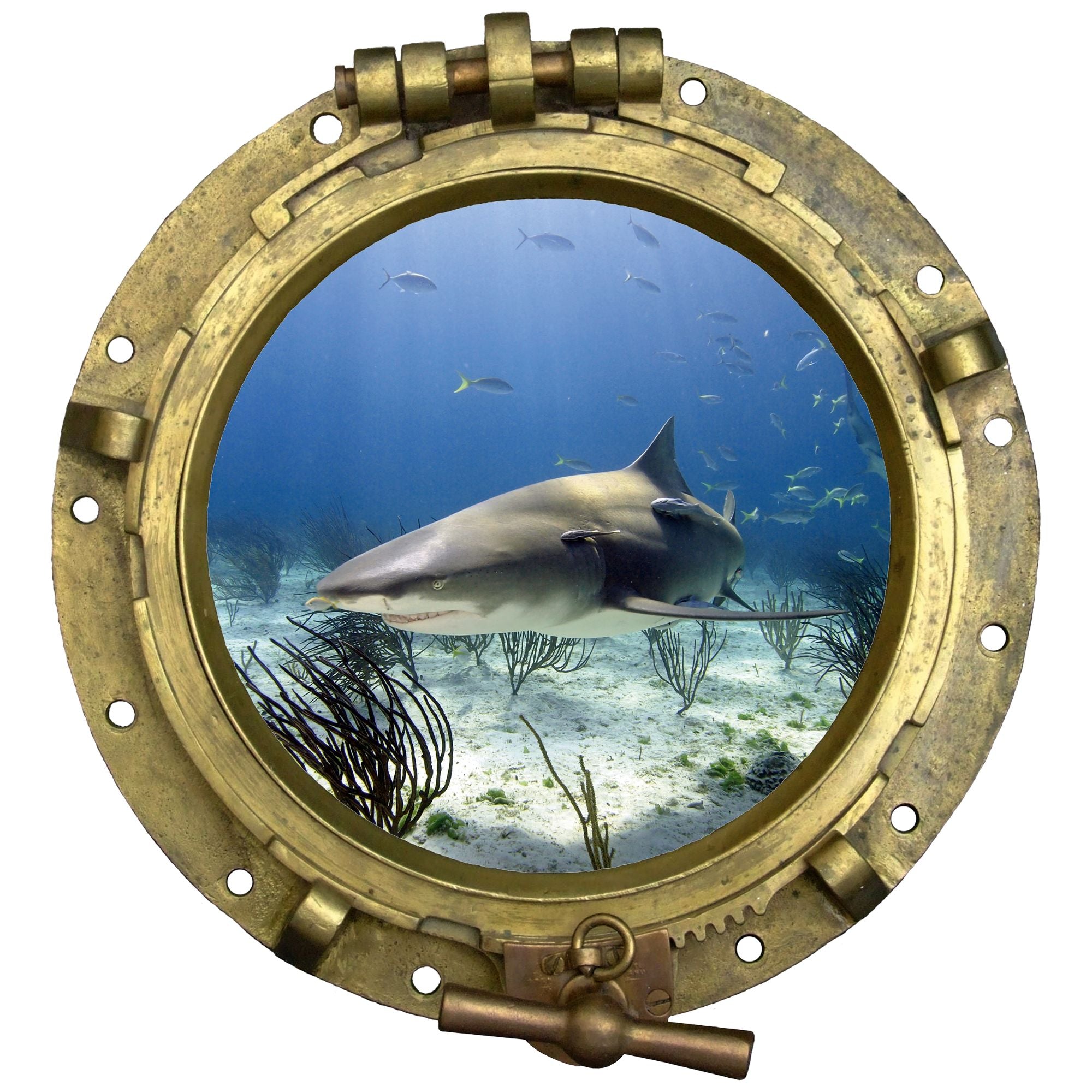 Haifisch schwimmt durch ein Bullauge, blaue Unterwasserwelt.