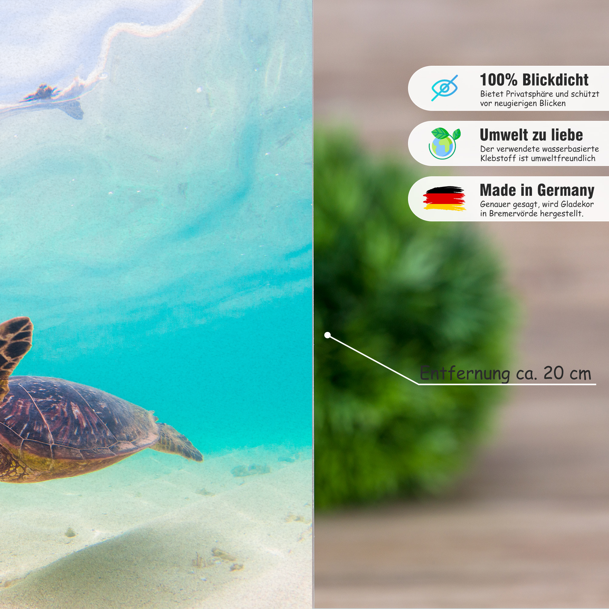 Fensterfolie Schildkröte