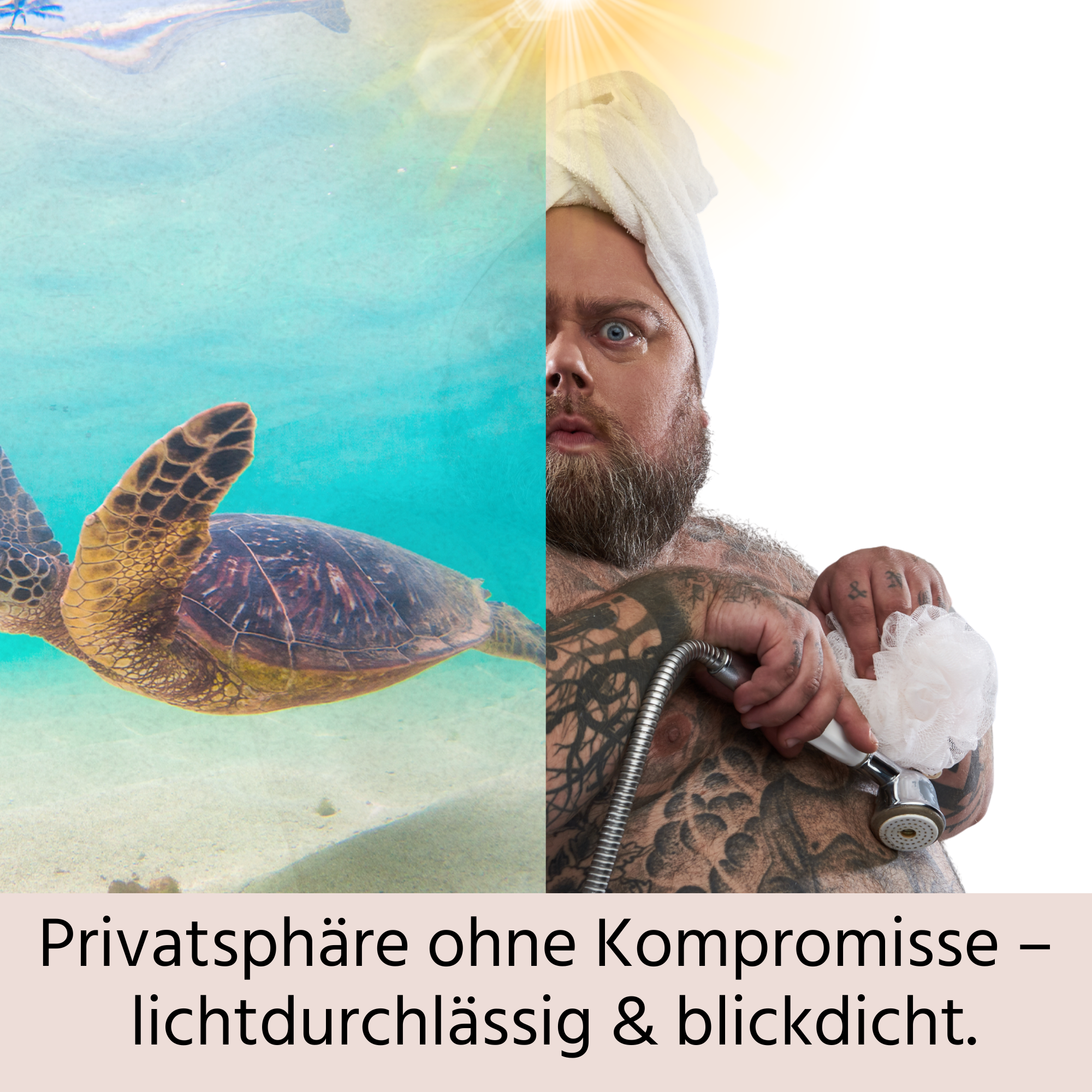 Fensterfolie Schildkröte