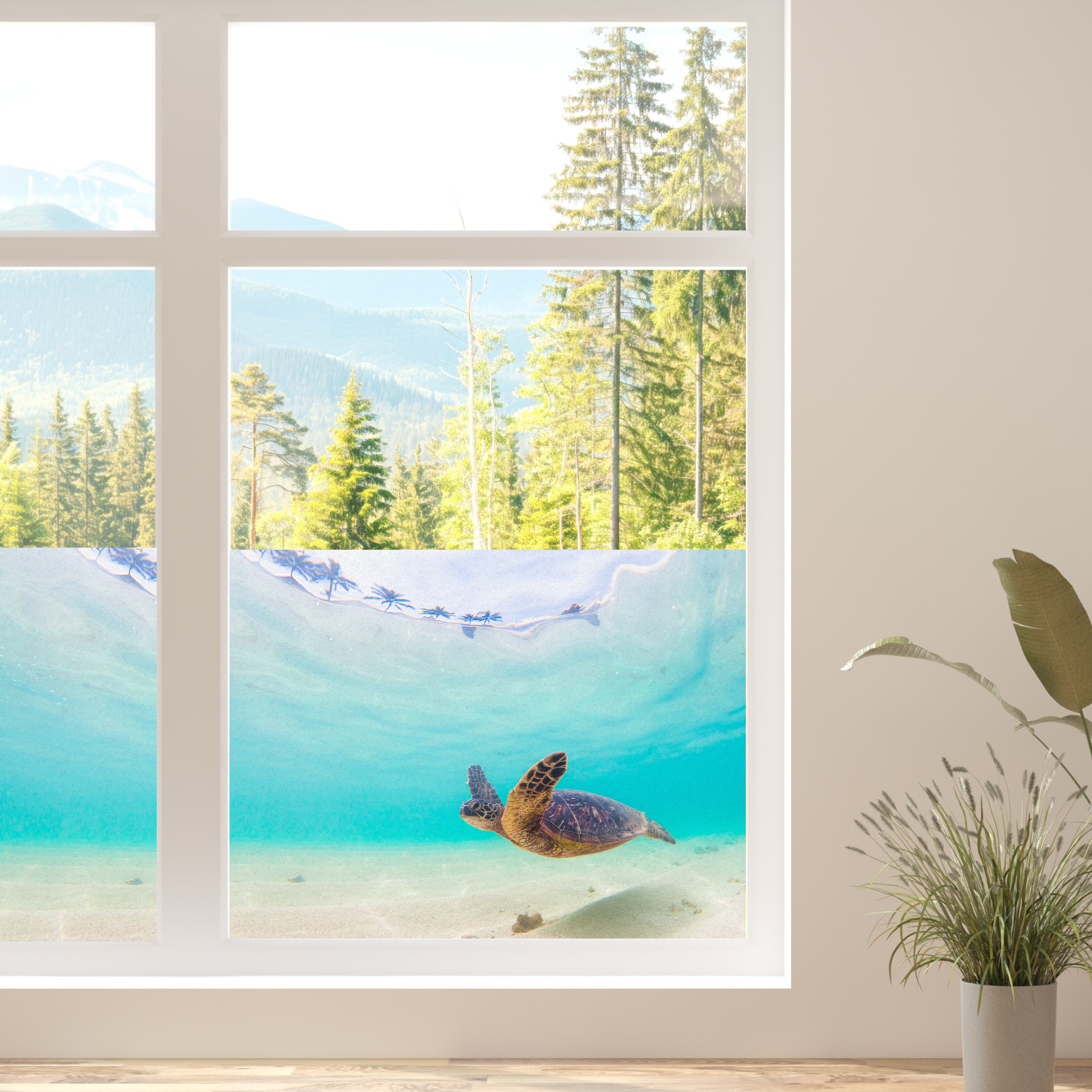Fensterfolie Schildkröte