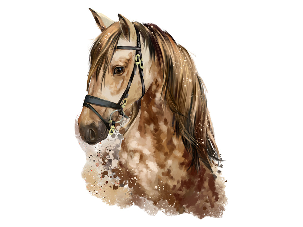 Braunes Pferd mit Halfter und langer Mähne.