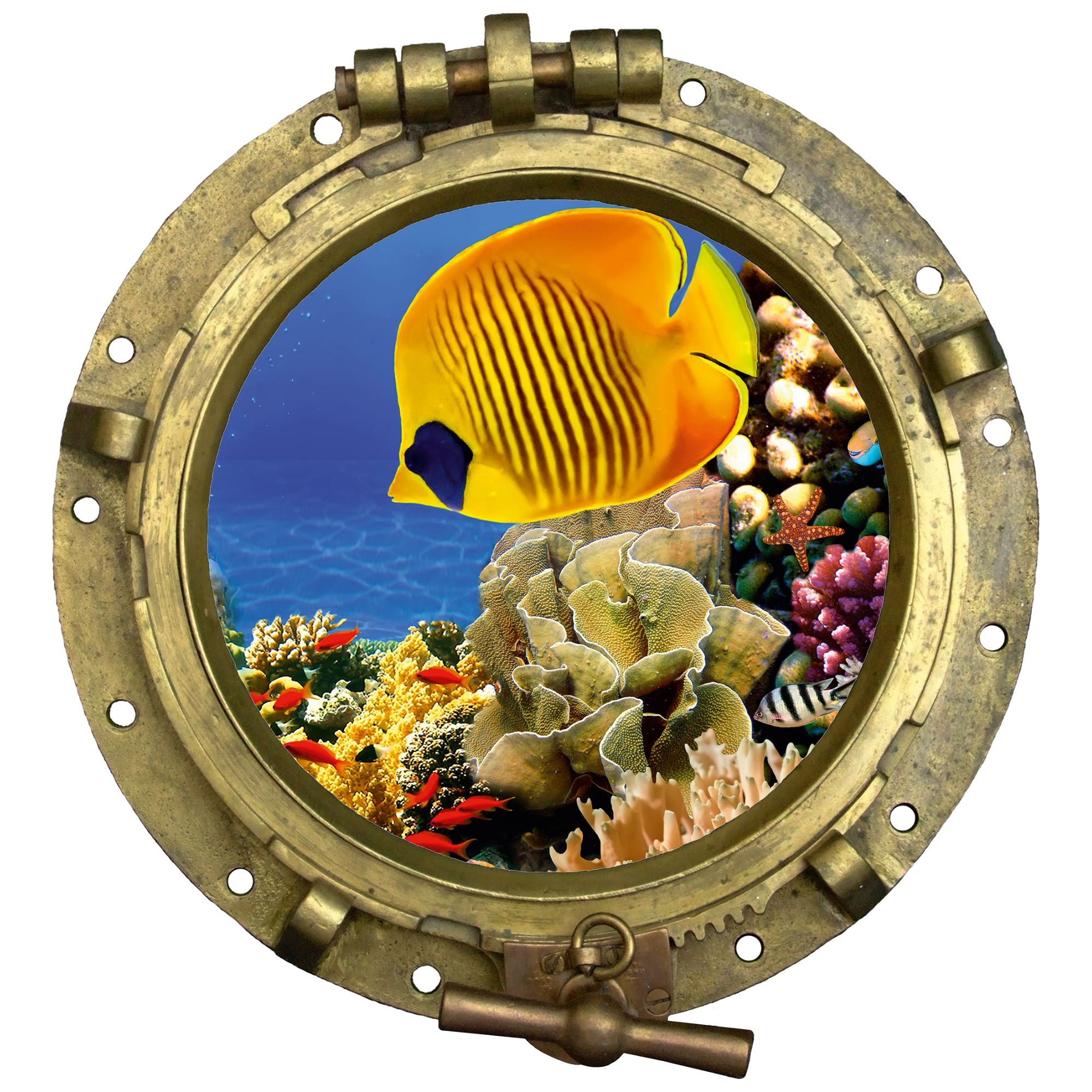 Wandtattoo Bullauge mit Korallenriff & Tropenfisch