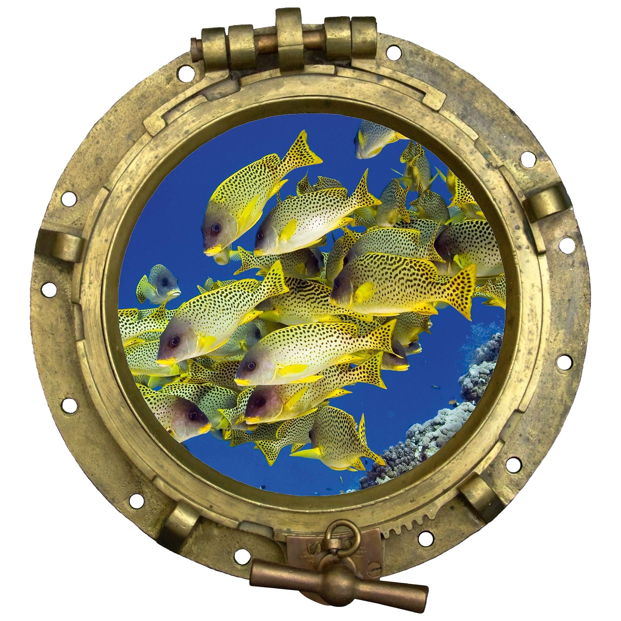 Wandtattoo Bullauge mit Fischschwarm – 3D Unterwasserblick