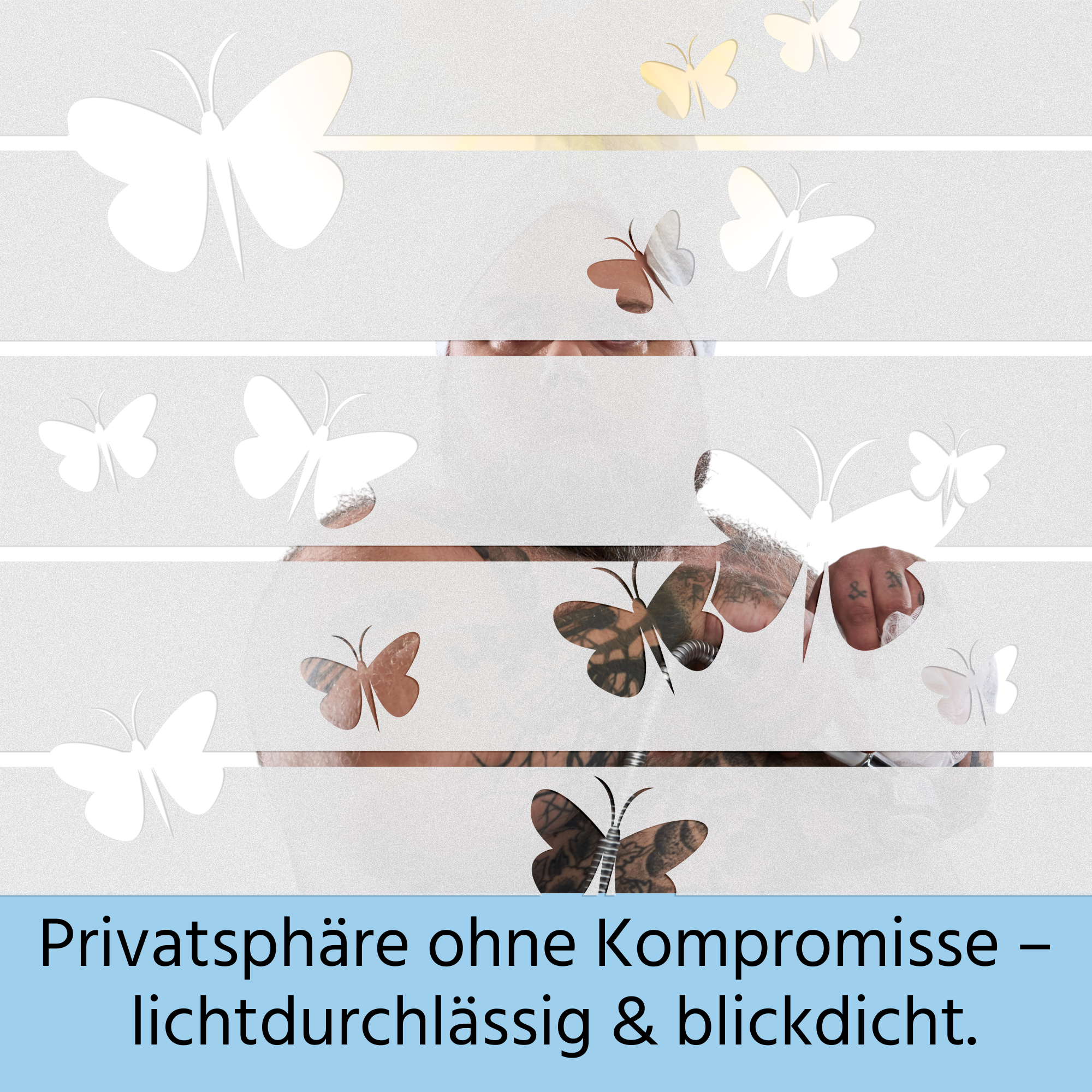 Fensterfolie Streifen Schmetterlinge