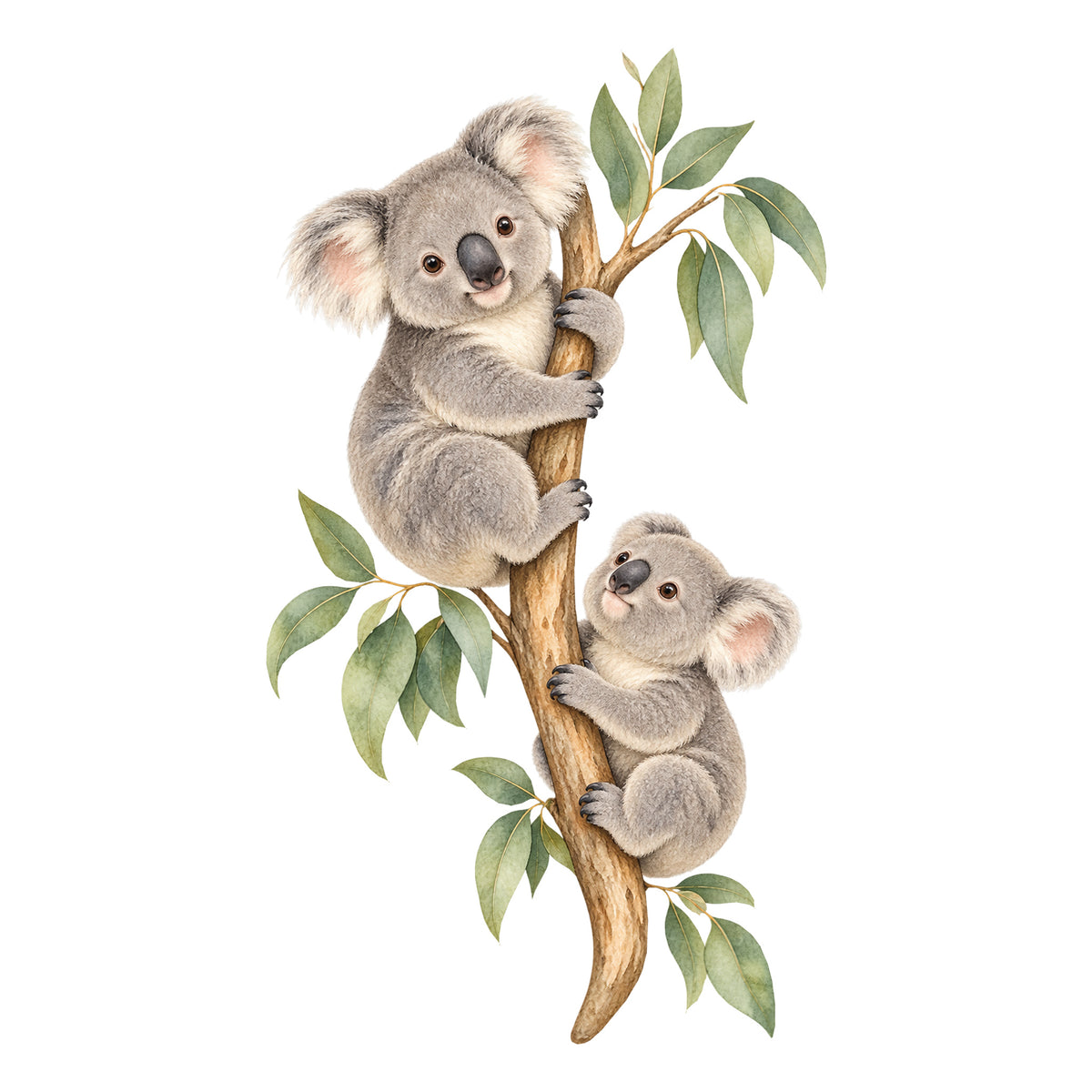 Koala-Wandtattoo Kletterfreunde auf weißem Hintergrund. Ein großer Koala oben links und ein kleiner Koala unten rechts umarmen einen Eukalyptusast.