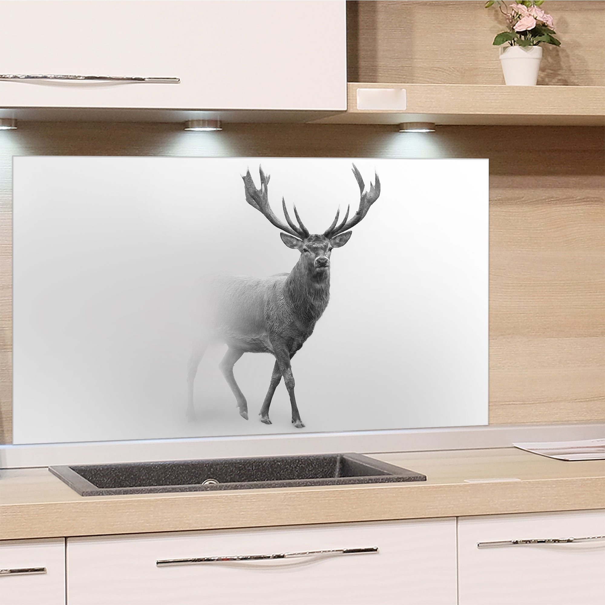 Hirsch in Schwarz-Weiß auf Glasrückwand.