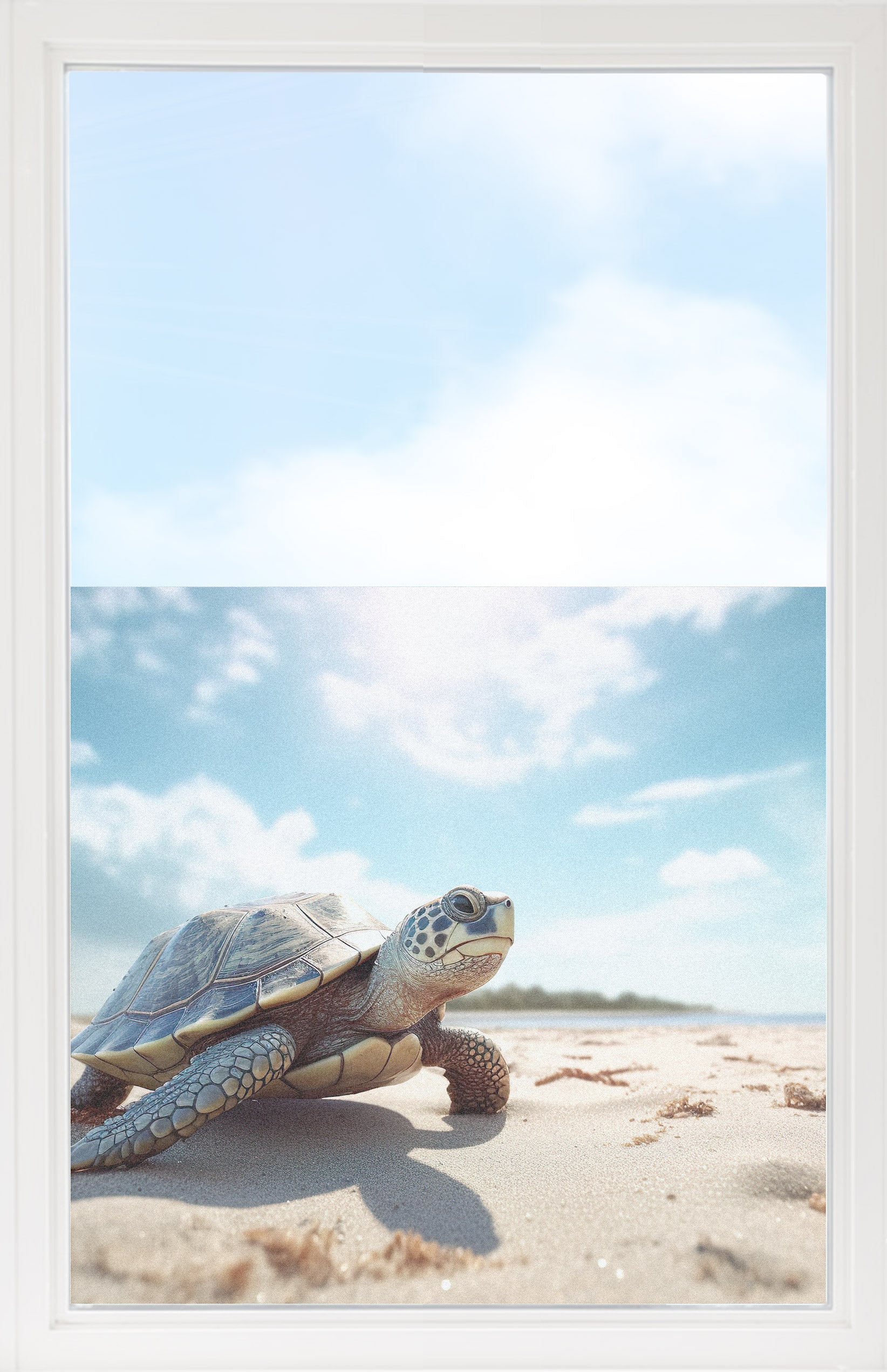 Fensterfolie mit Schildkröte am Strand