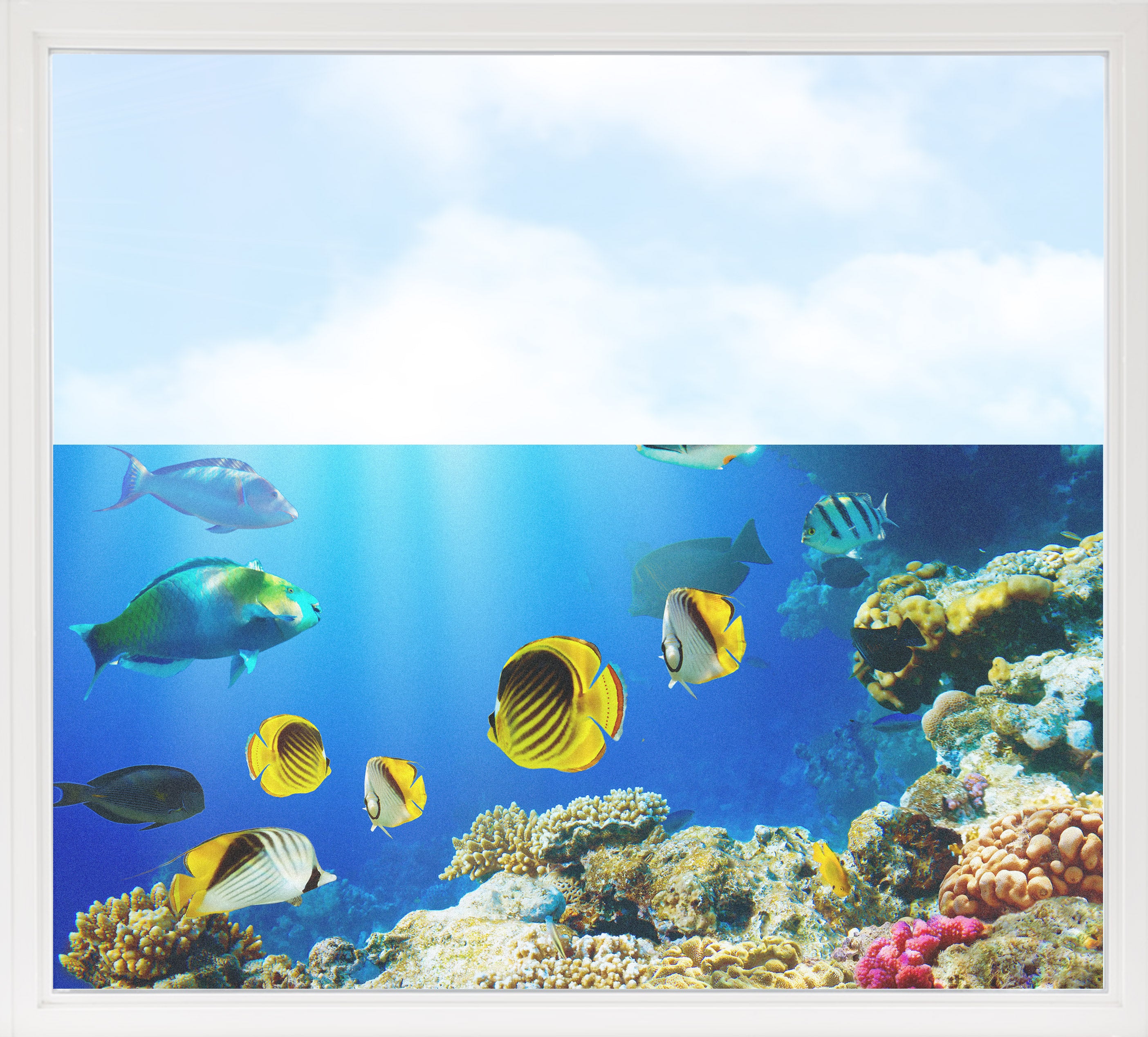 Fensterfolie Unterwasserwelt