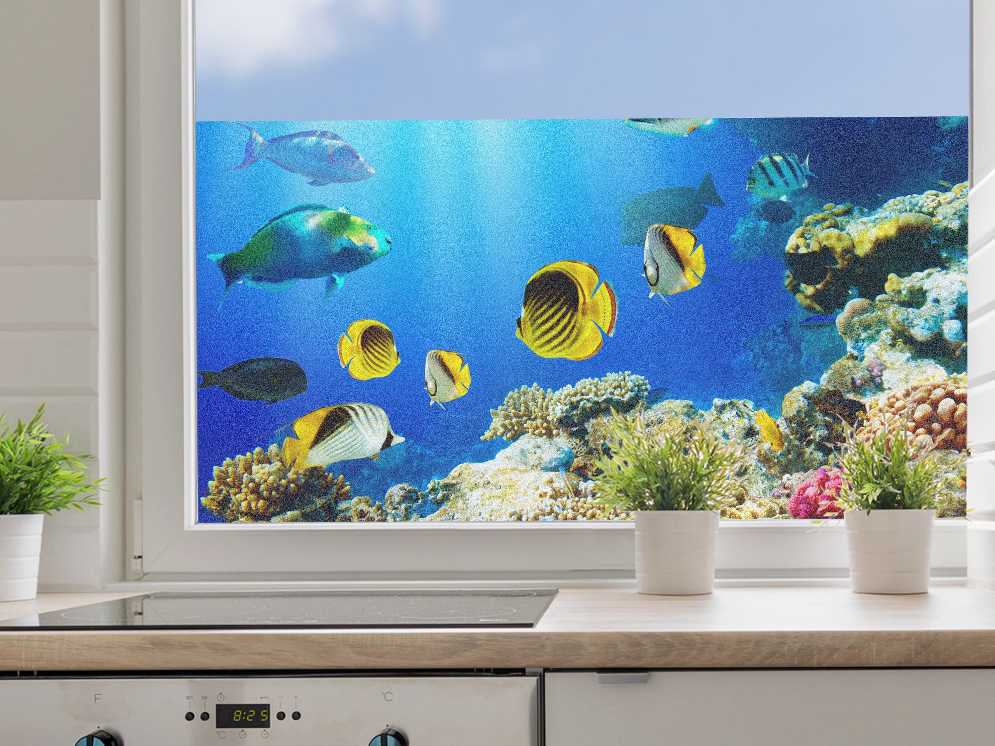 Fensterfolie Unterwasserwelt