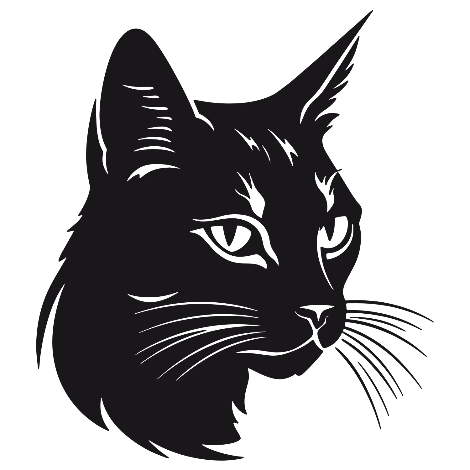 Wandtattoo Katze - Eleganz für dein Zuhause