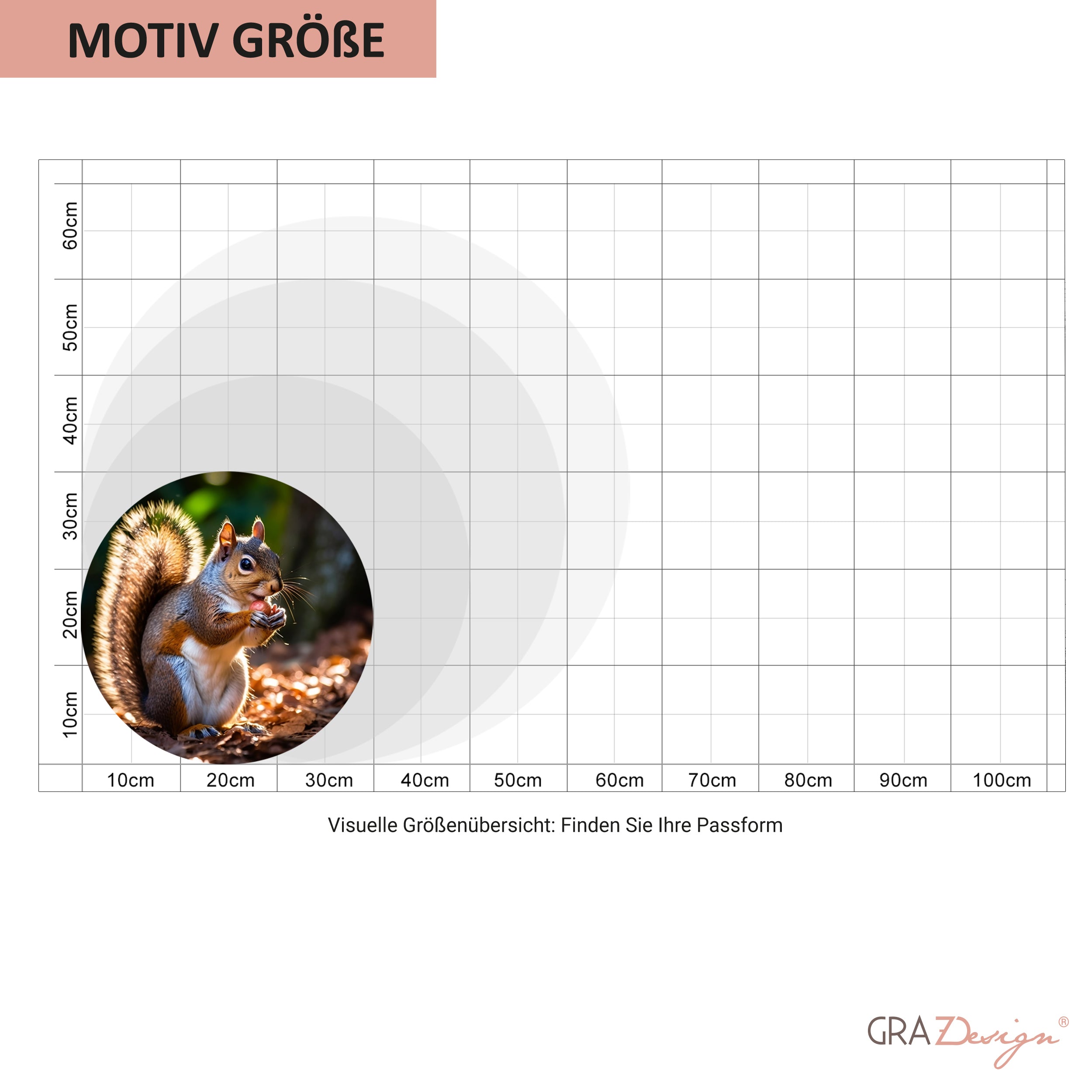 Wandtattoo Eichhörnchen - Ein Hauch von Natur für dein Zuhause
