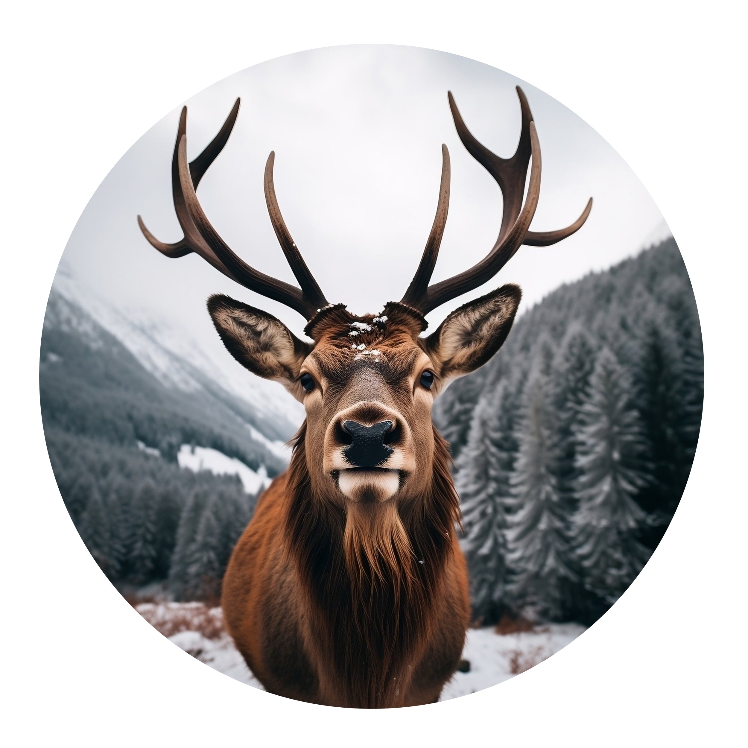 Wandtattoo Hirsch - Naturverbundenheit für dein Zuhause