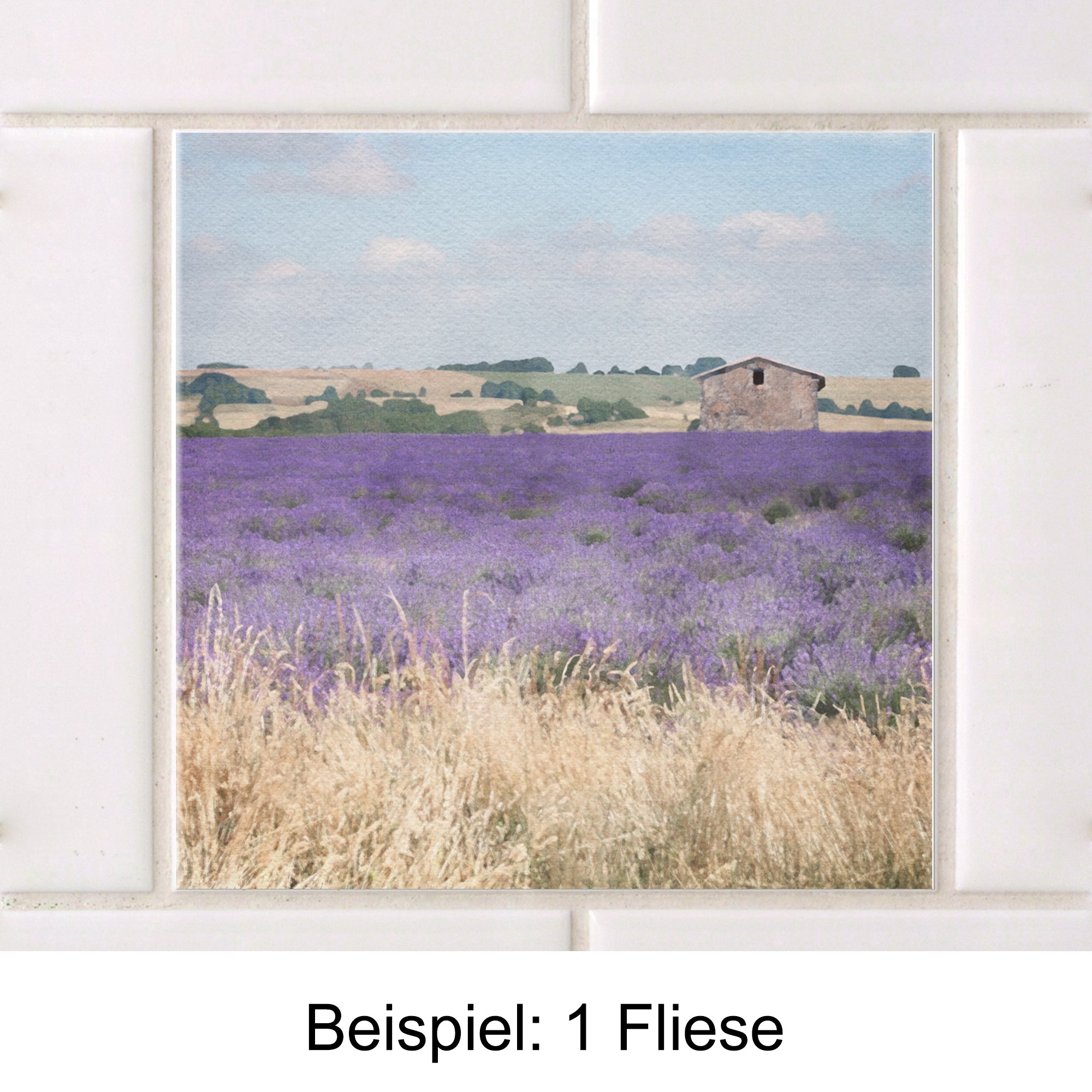 Lavendel-Feld mit grauem Gebäude und blauem Himmel.