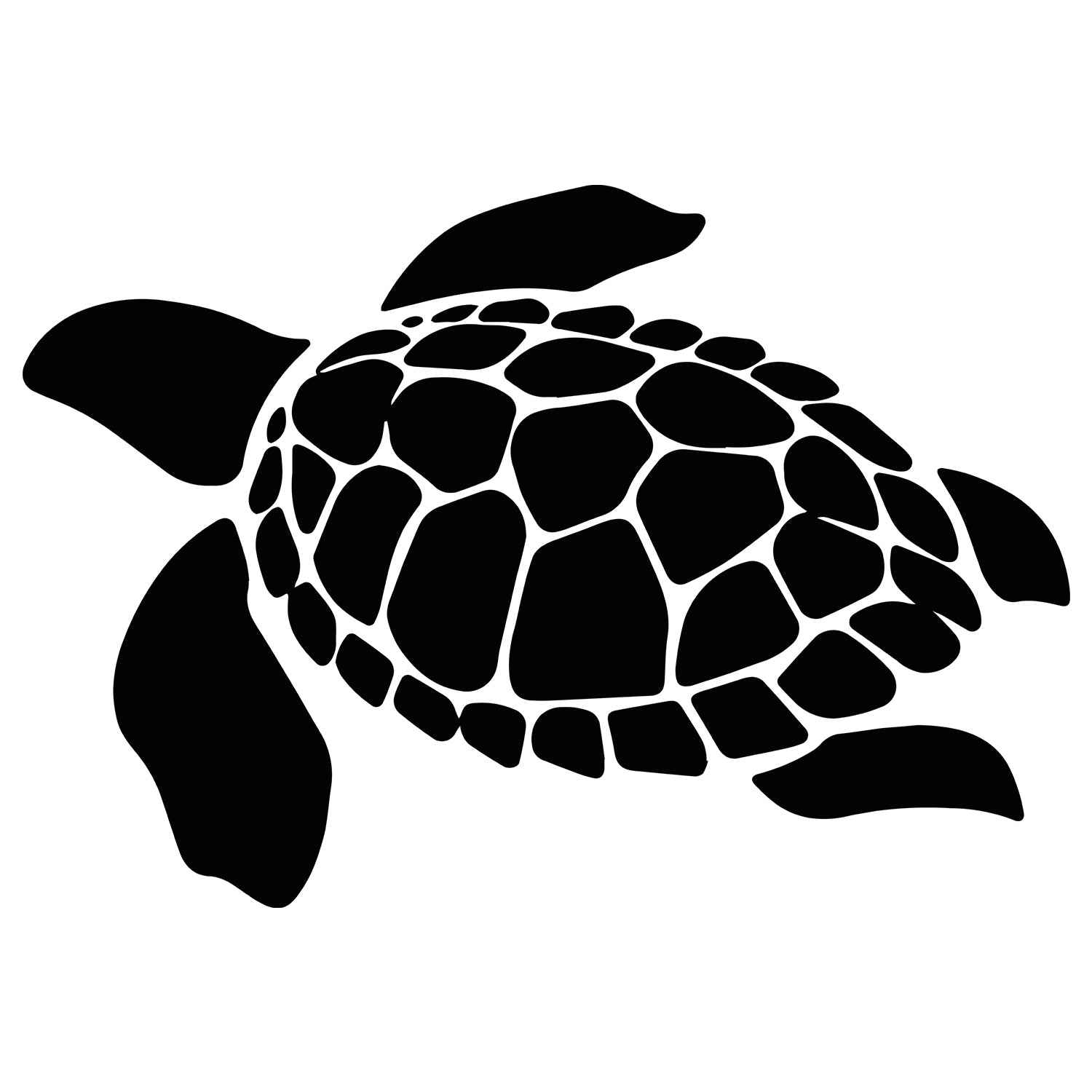 Wandtattoo Schildkröte