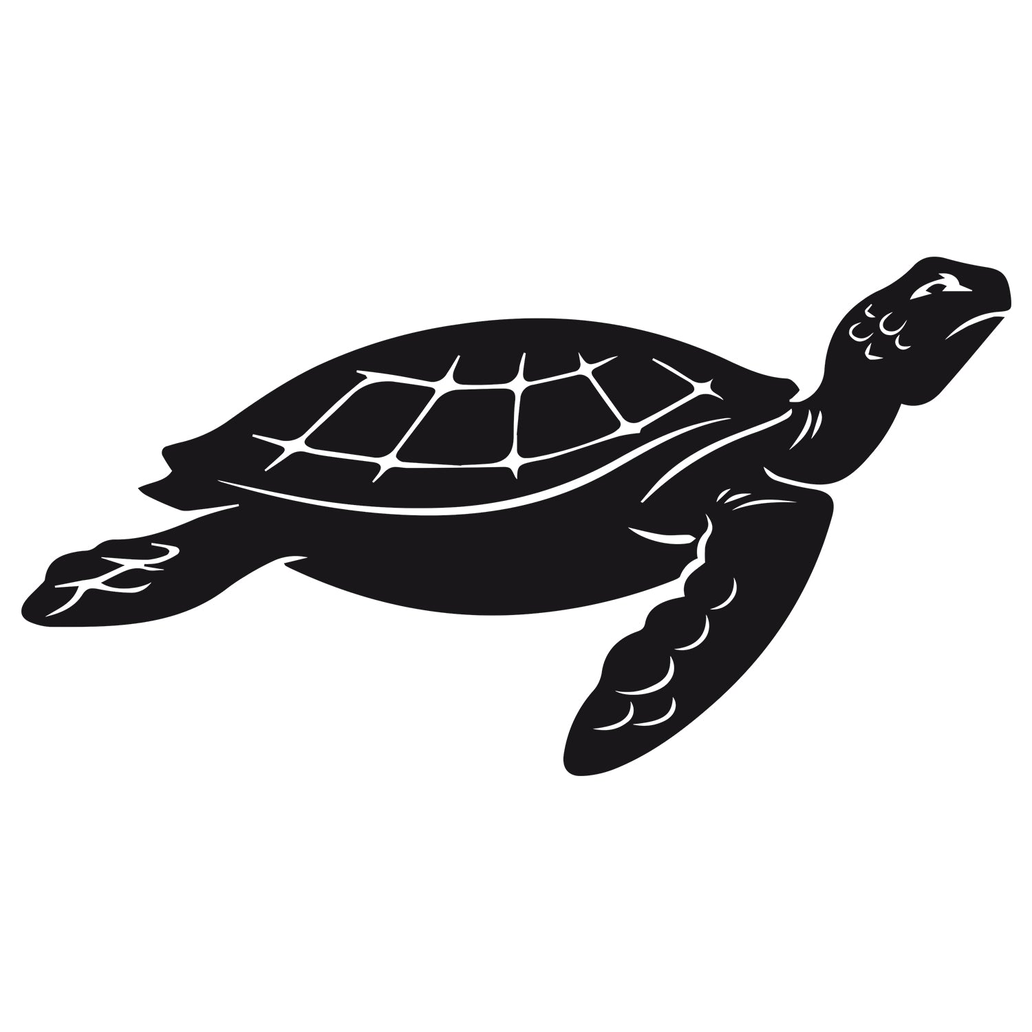 Wandtattoo Schildkröte