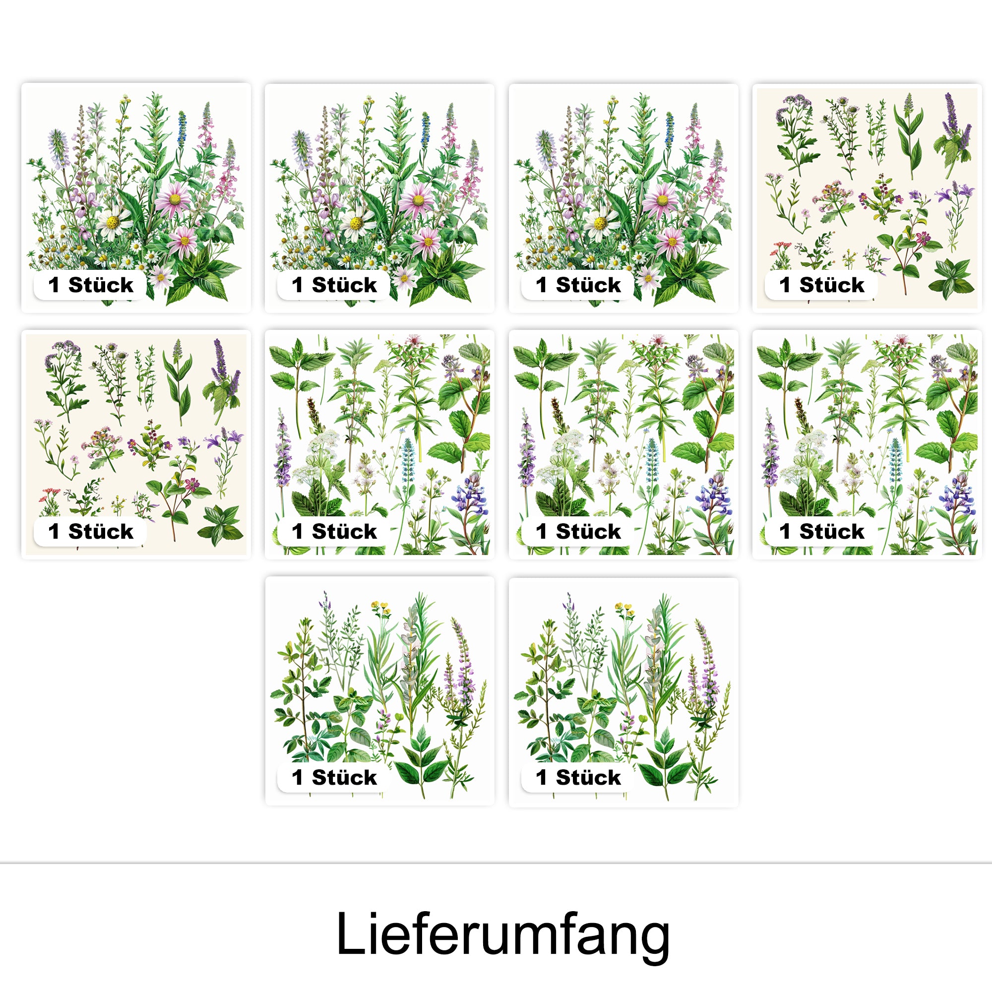 Pflanzenillustrationen in verschiedenen Farben, 10 Stück.