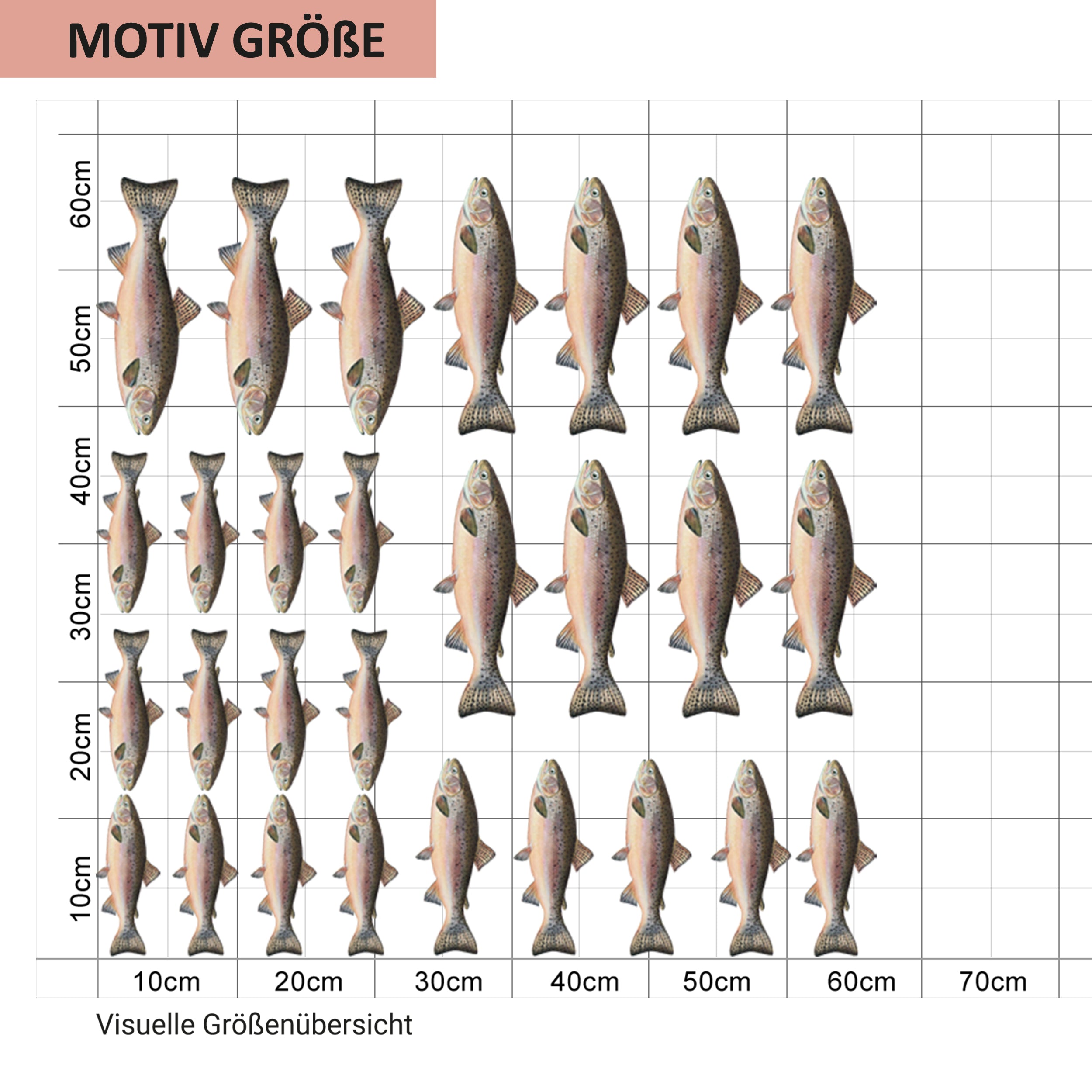 Wandtattoo Regenbogenforellen Set